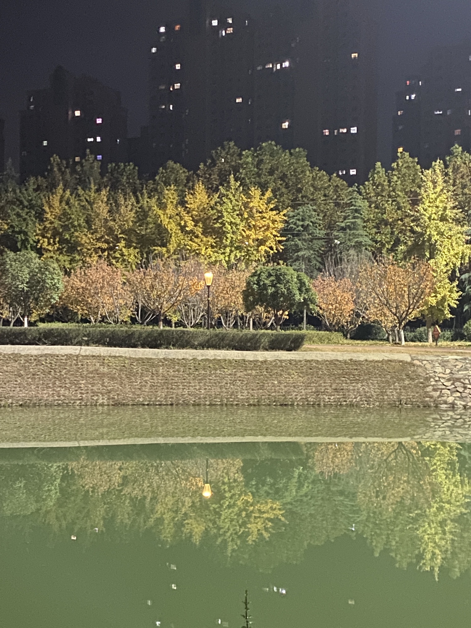 鹿鸣湖旅行图片 3