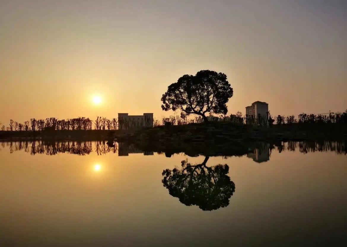 鹿鸣湖旅行图片 2