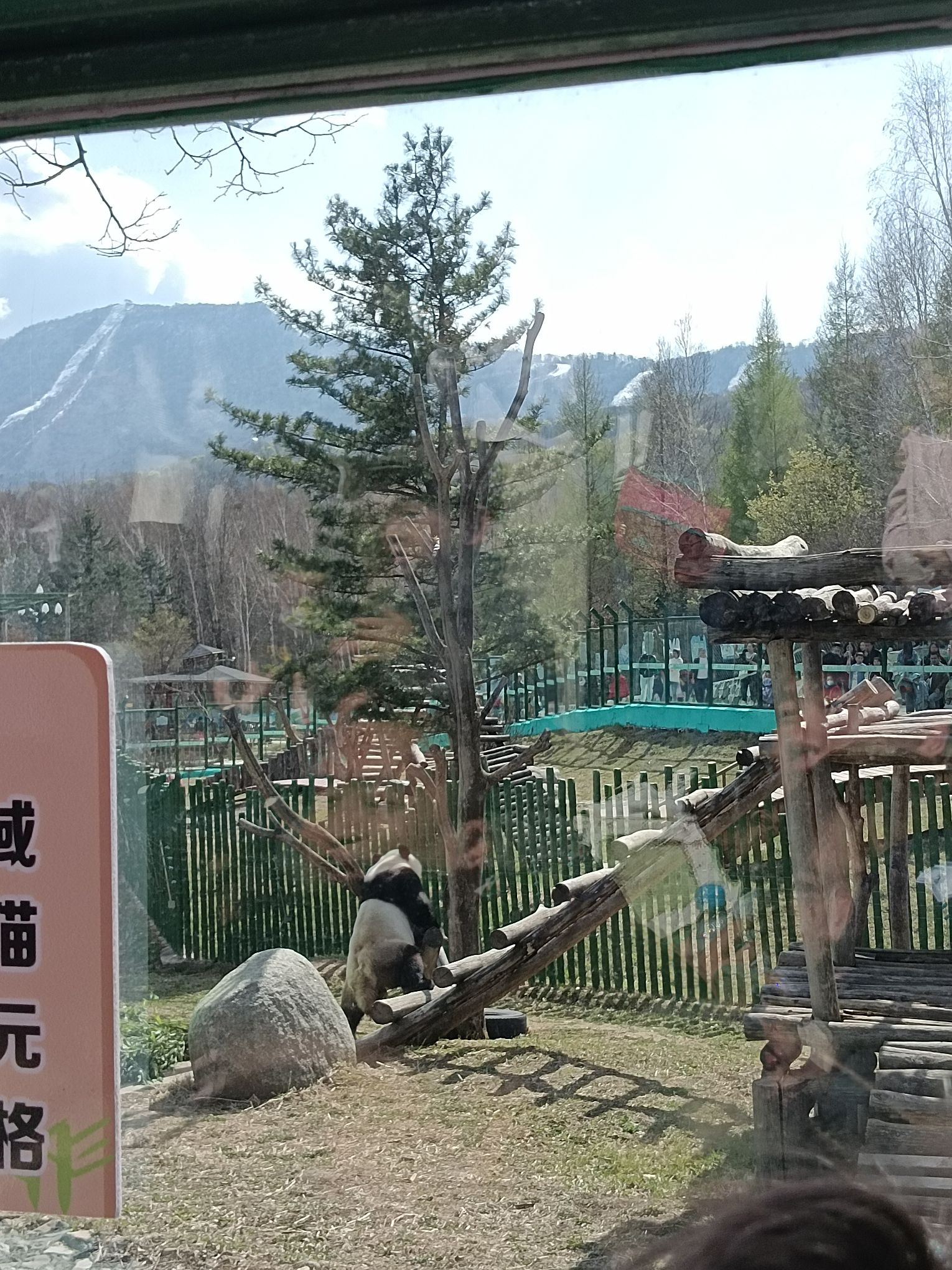 亚布力熊猫馆旅行图片 2