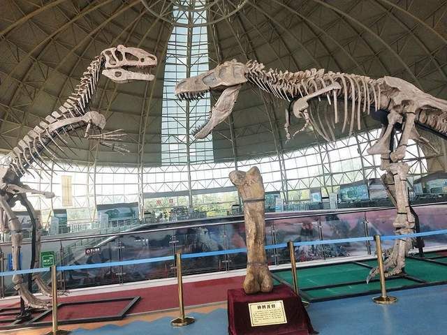 恐龙文化旅游区·诸城中国暴龙馆旅行图片 2