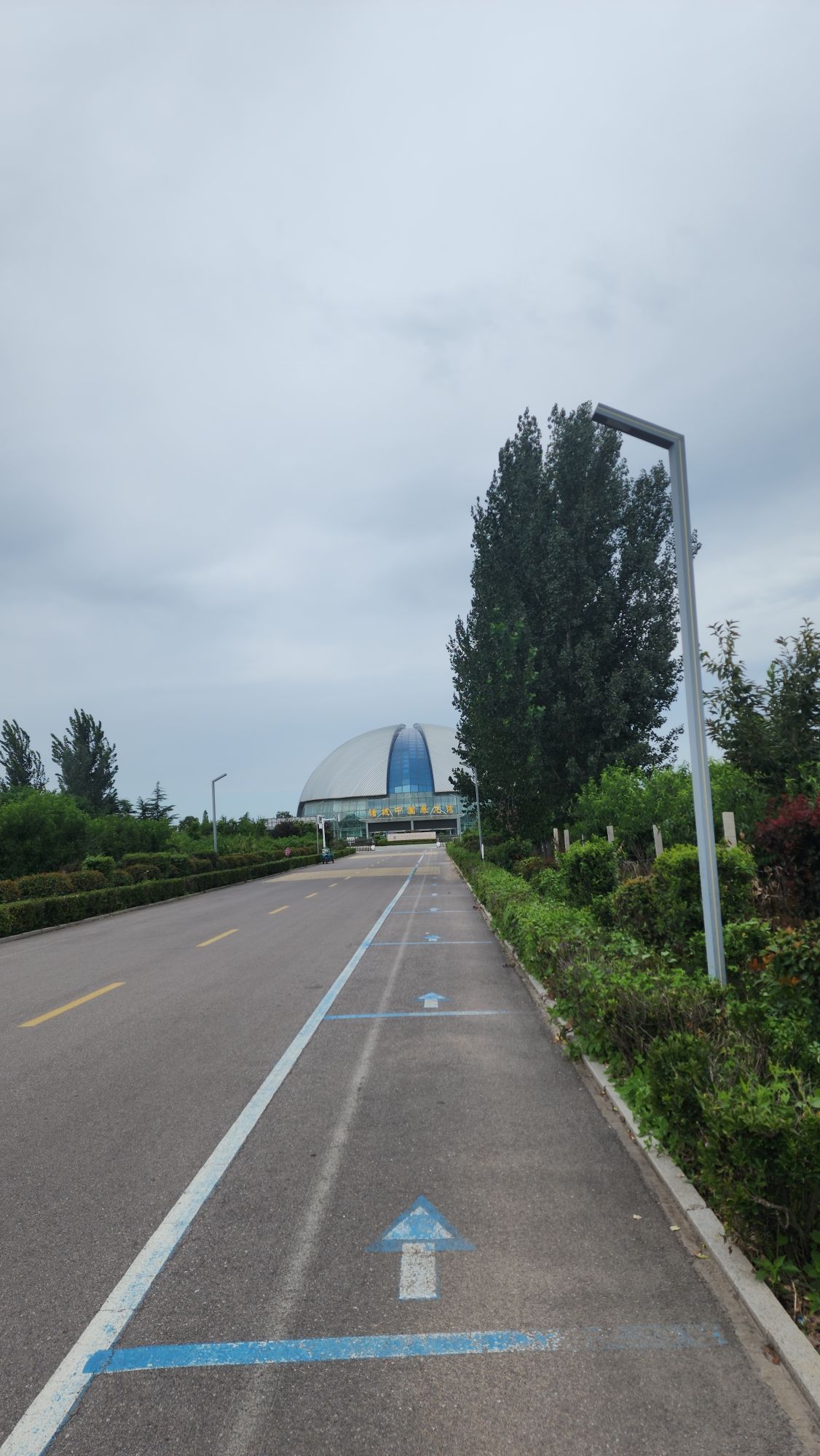 恐龙文化旅游区·诸城中国暴龙馆旅行图片 1