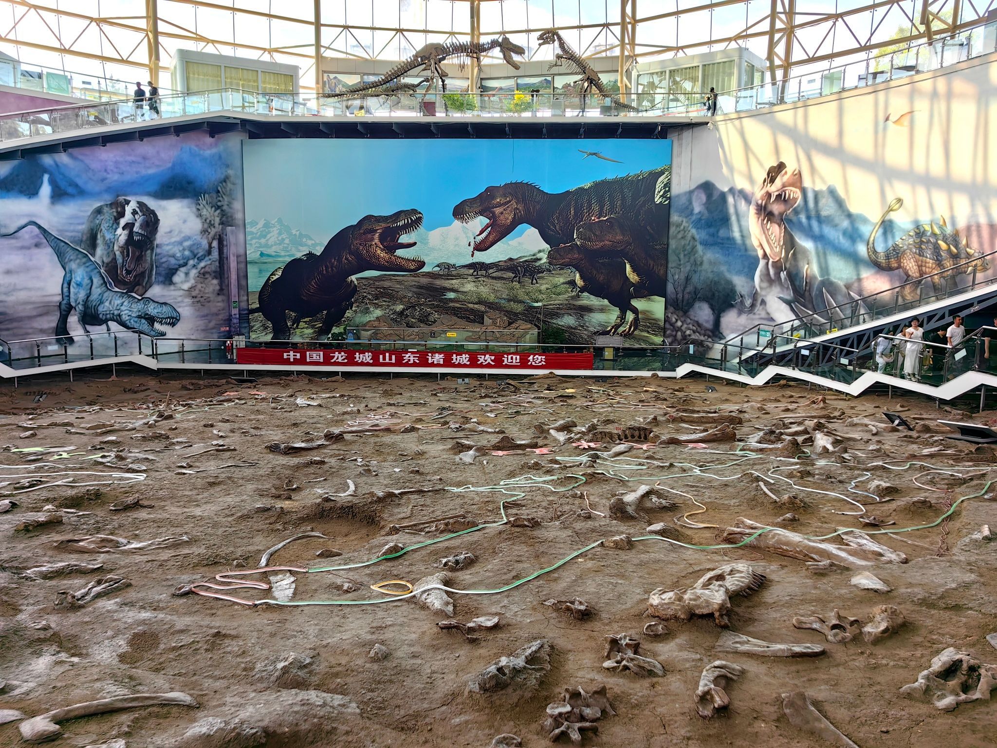 恐龙文化旅游区·诸城中国暴龙馆旅行图片 1