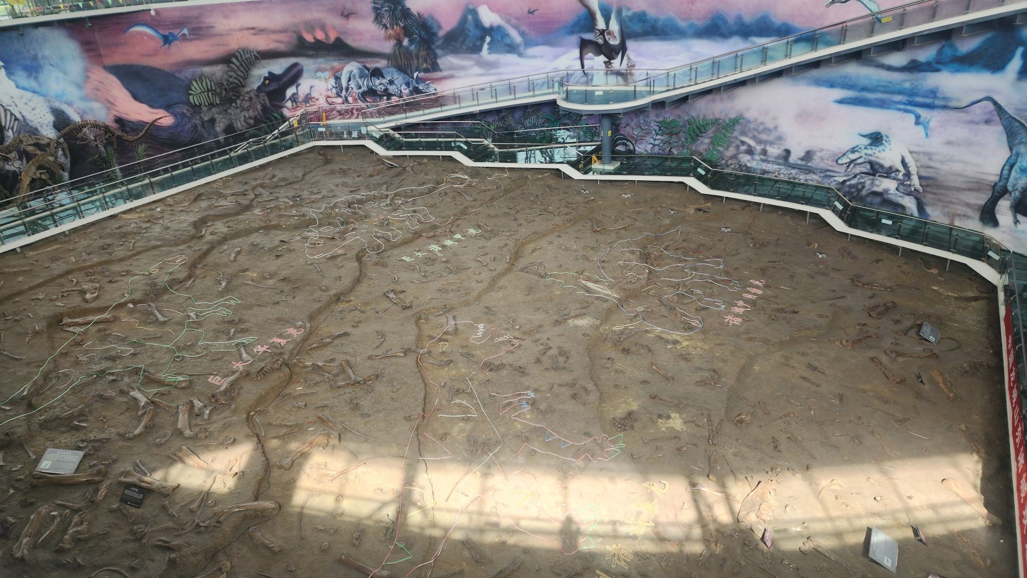 恐龙文化旅游区·诸城中国暴龙馆旅行图片 2
