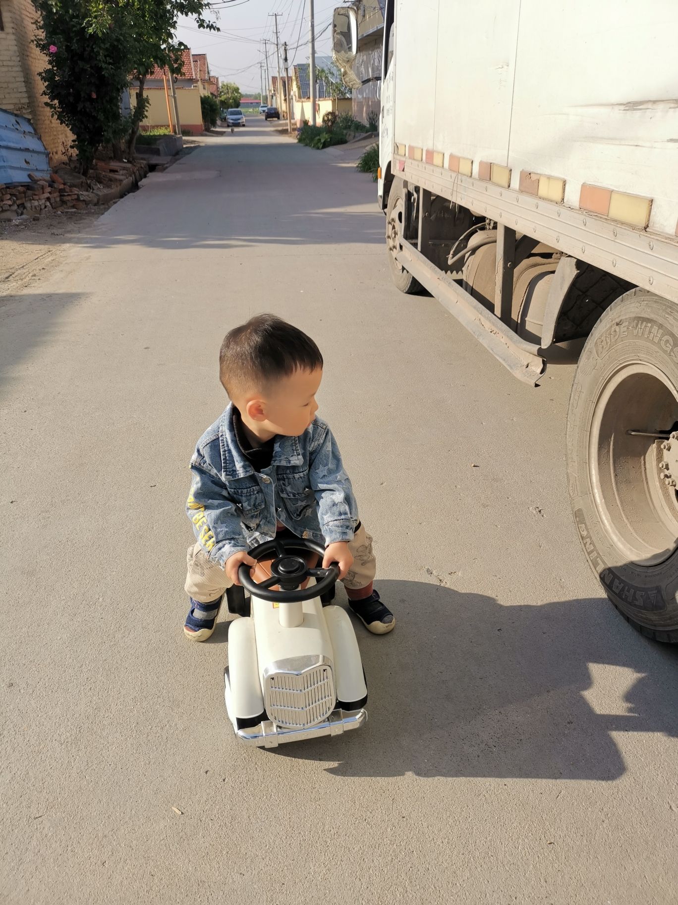 高密天香牡丹园旅行图片 2
