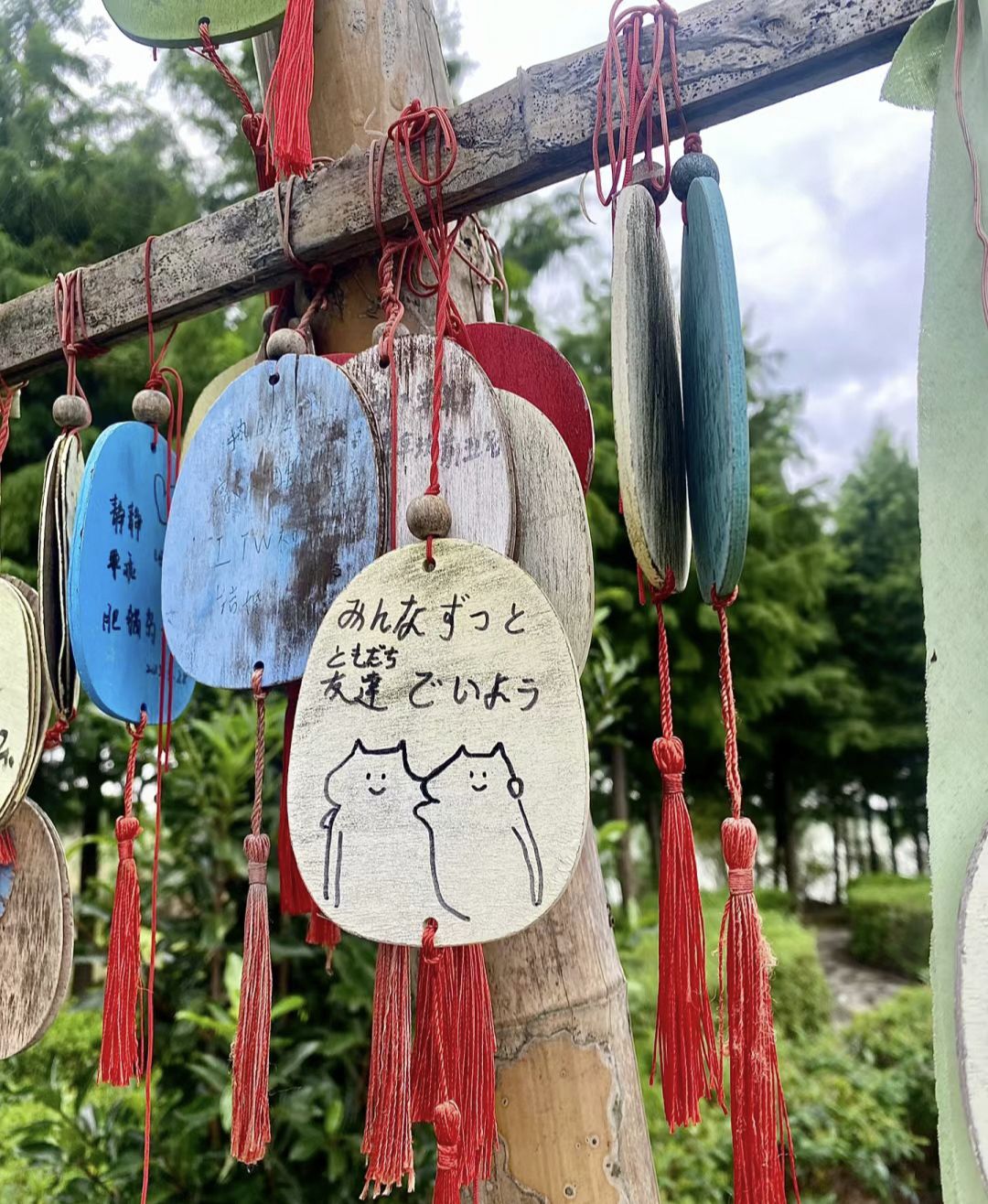 淮安市白马湖生态旅游景区旅行图片 1