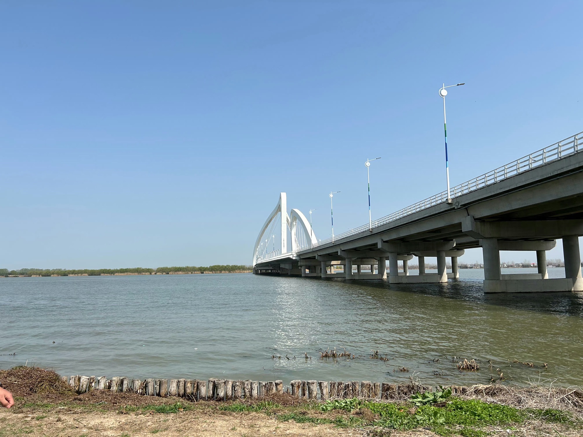 淮安市白马湖生态旅游景区旅行图片 3