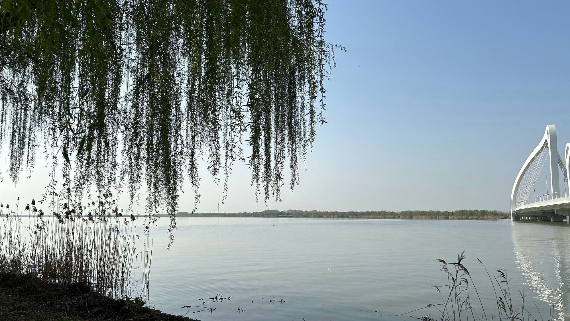 淮安市白马湖生态旅游景区旅行图片 1