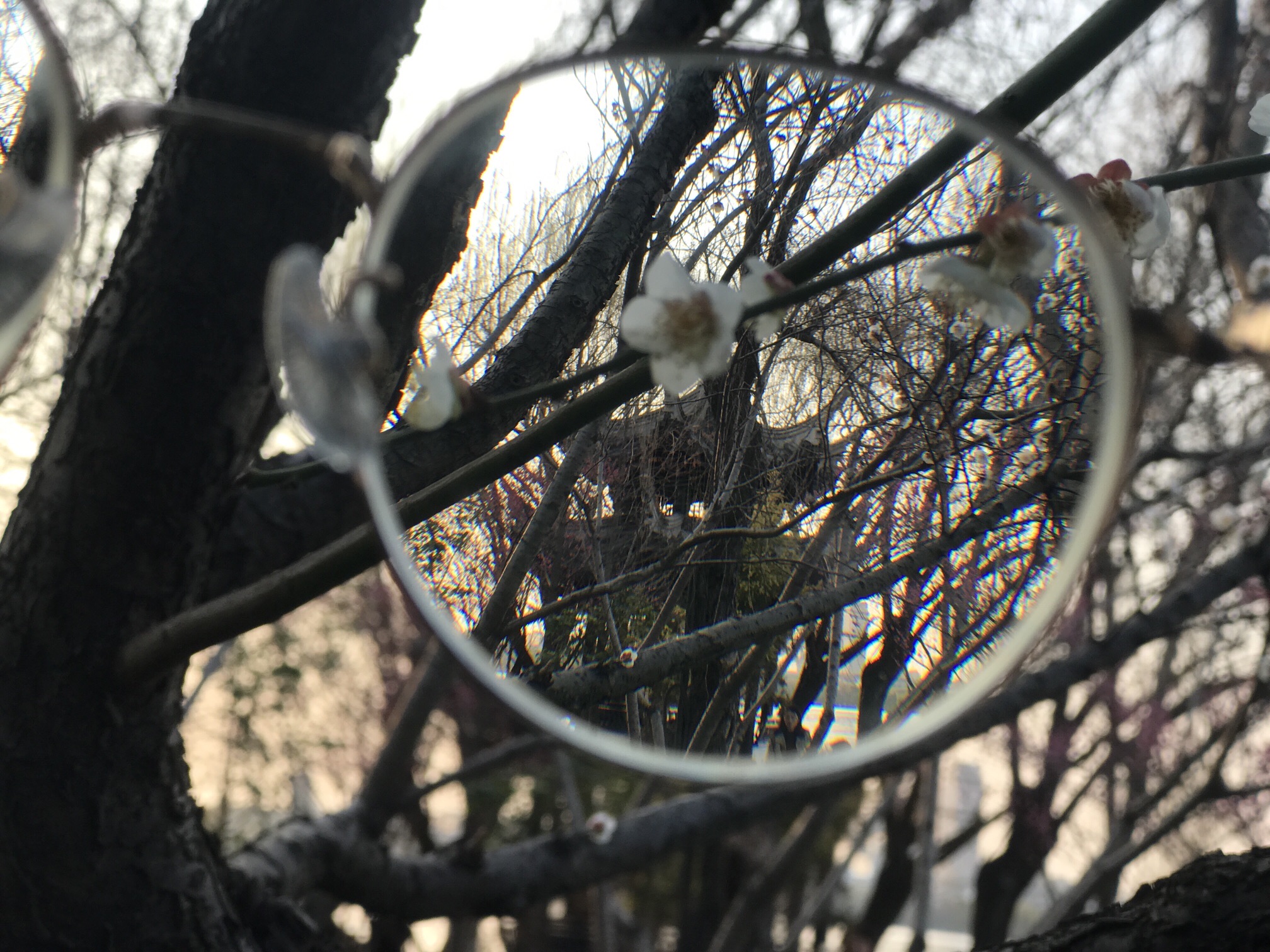 湖州影视城旅行图片 2