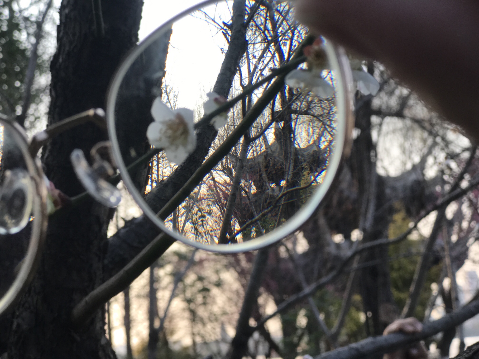湖州影视城旅行图片 3