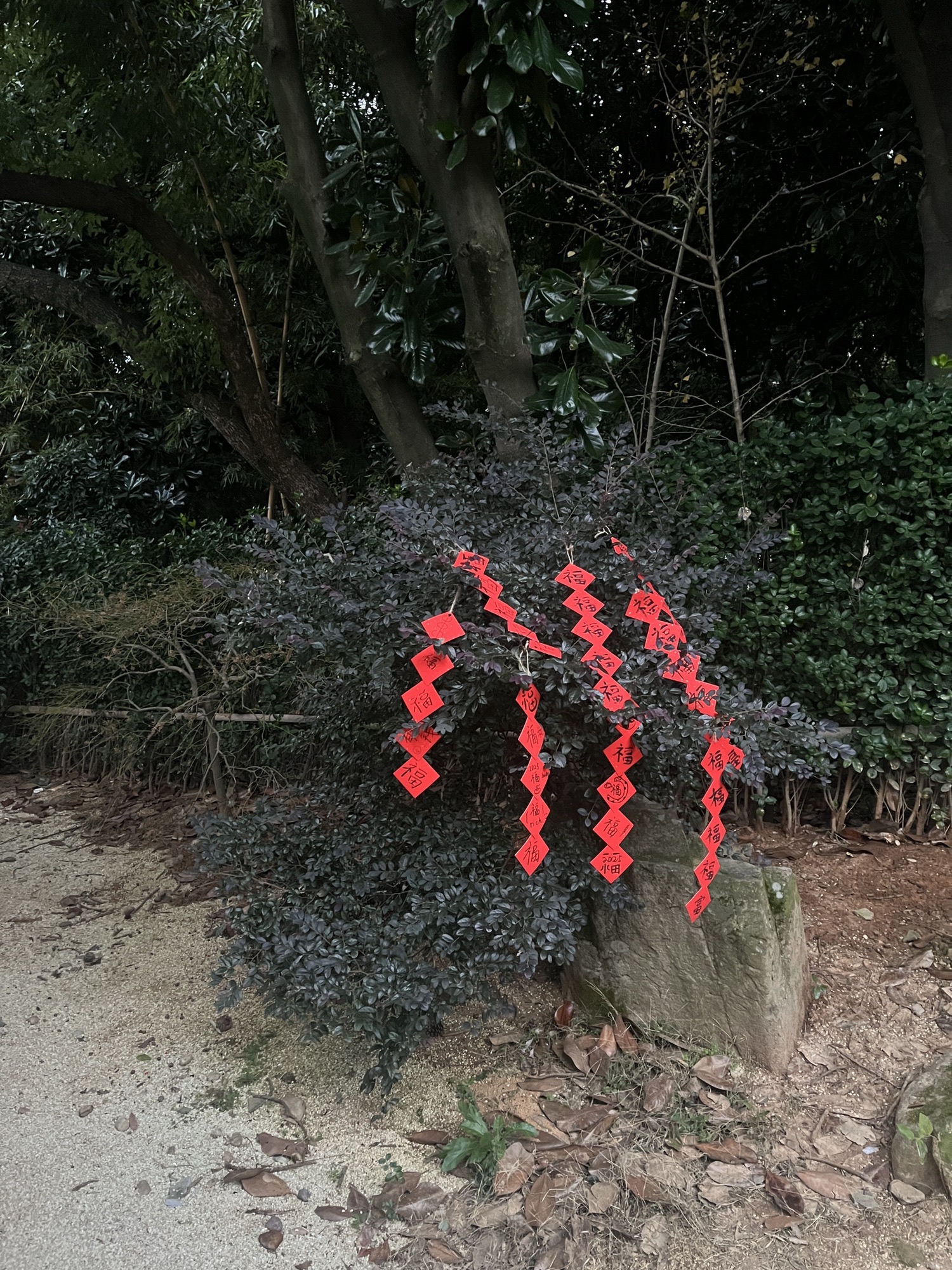 邱城遗址旅行图片 1