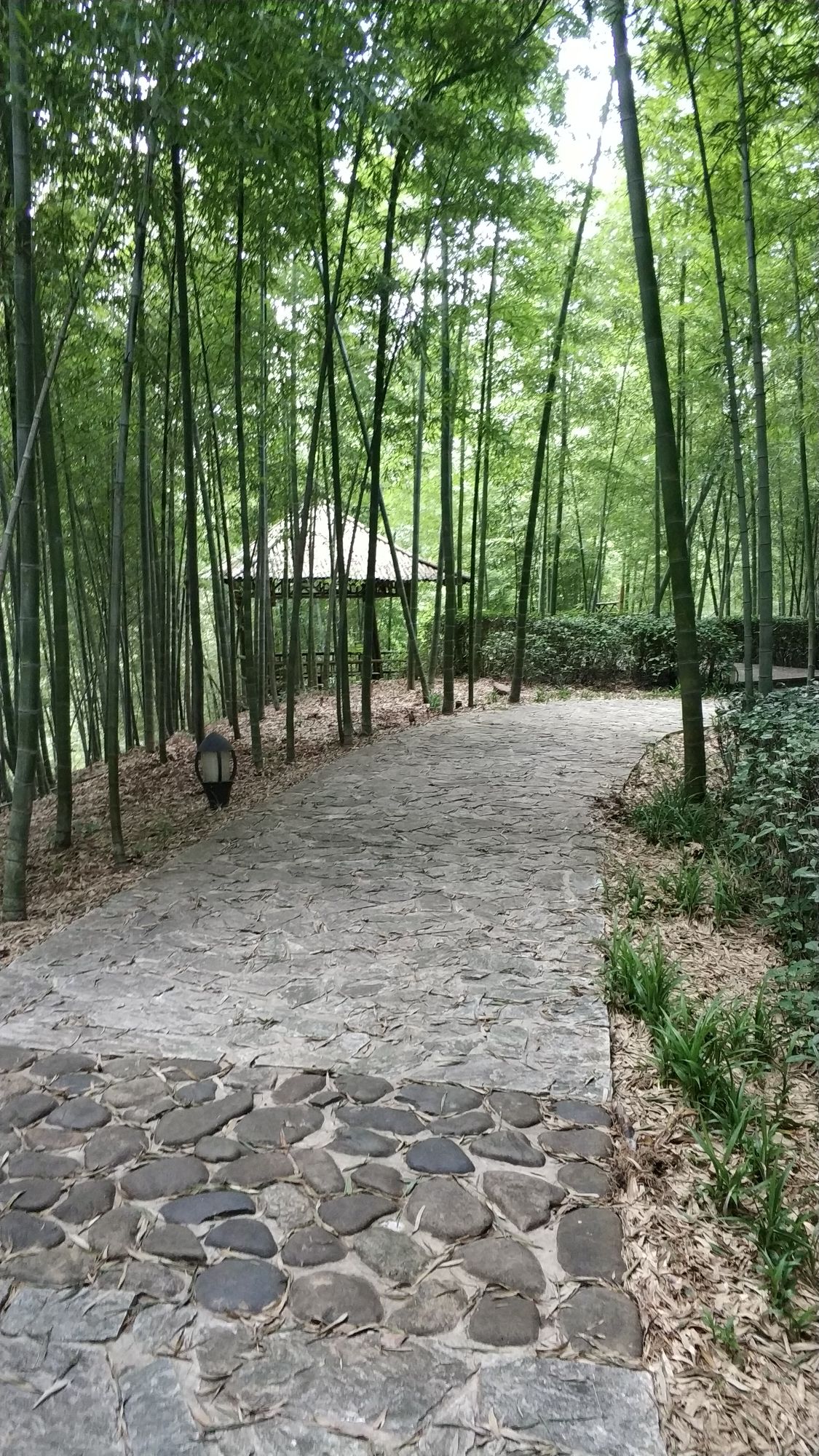 邱城遗址旅行图片 2