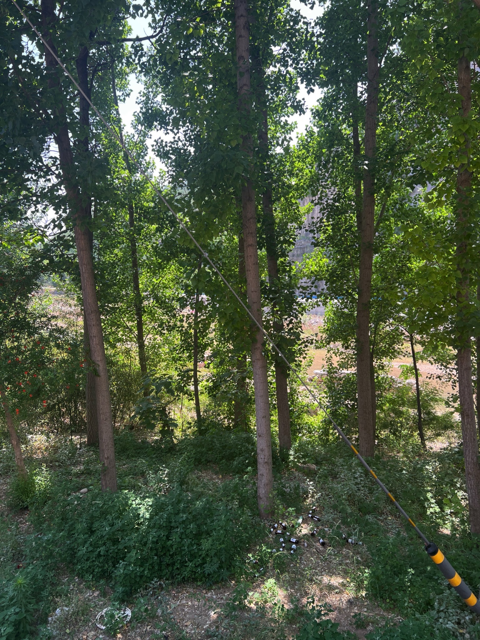 三渡湾风景区旅行图片 1