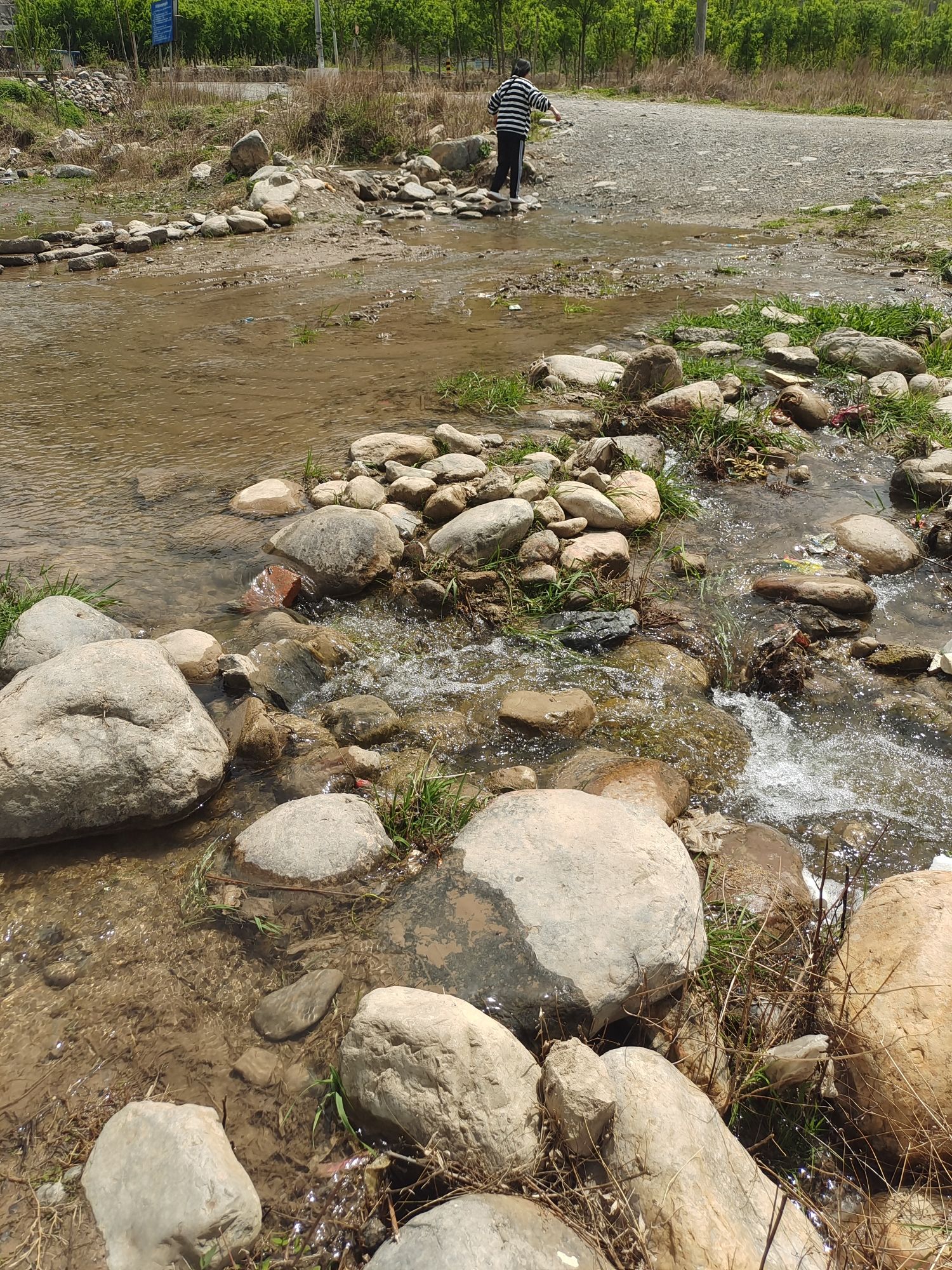 三渡湾风景区旅行图片 3