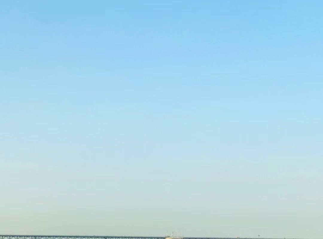 南京滨江公园(扬子江大道)旅行图片 1