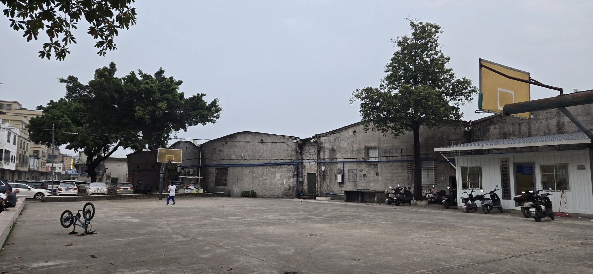 场地封面-六一蓝球场