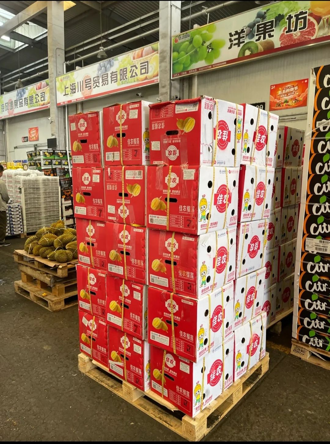 西郊农产品批发市场