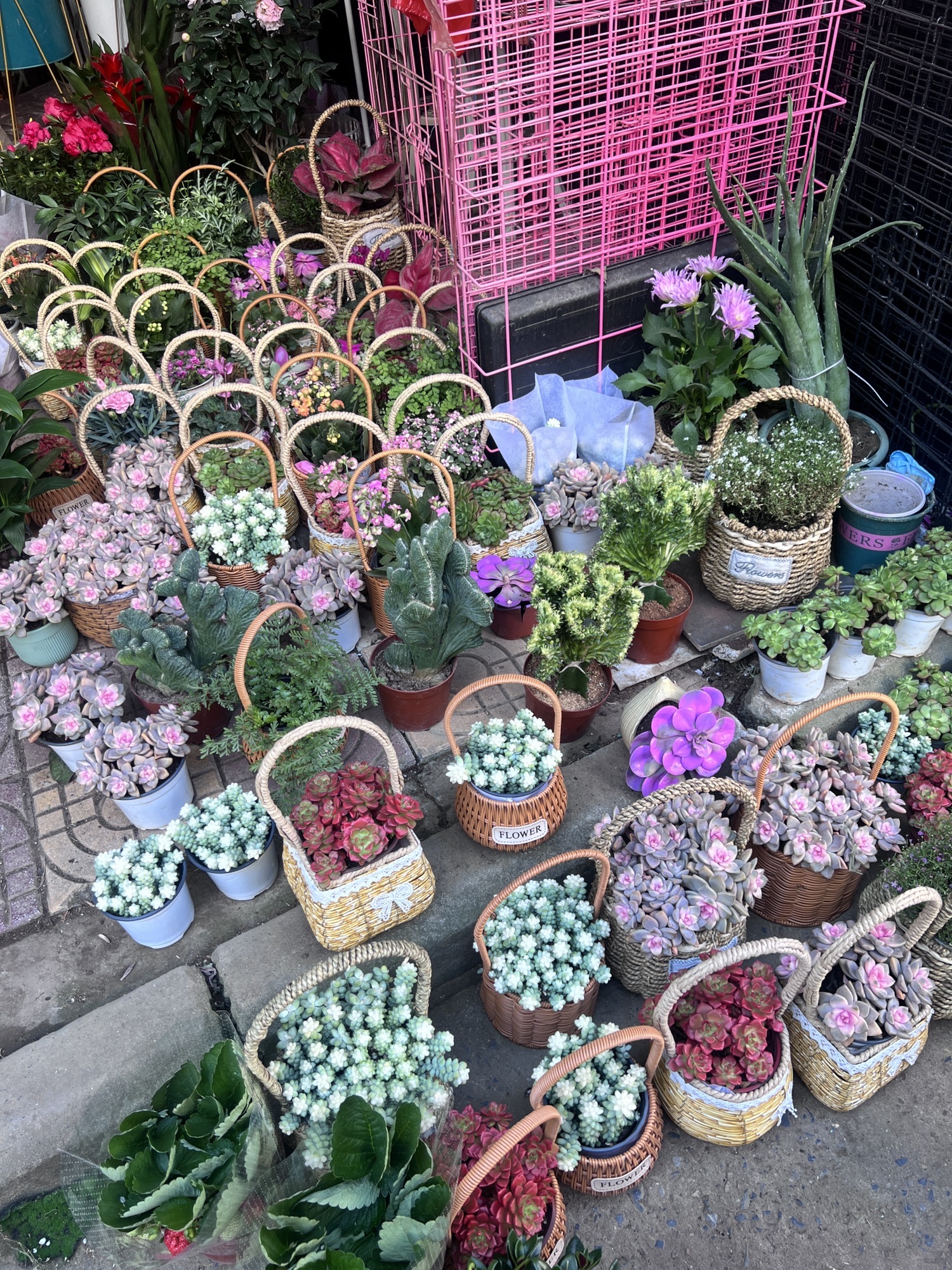 裕丰花市