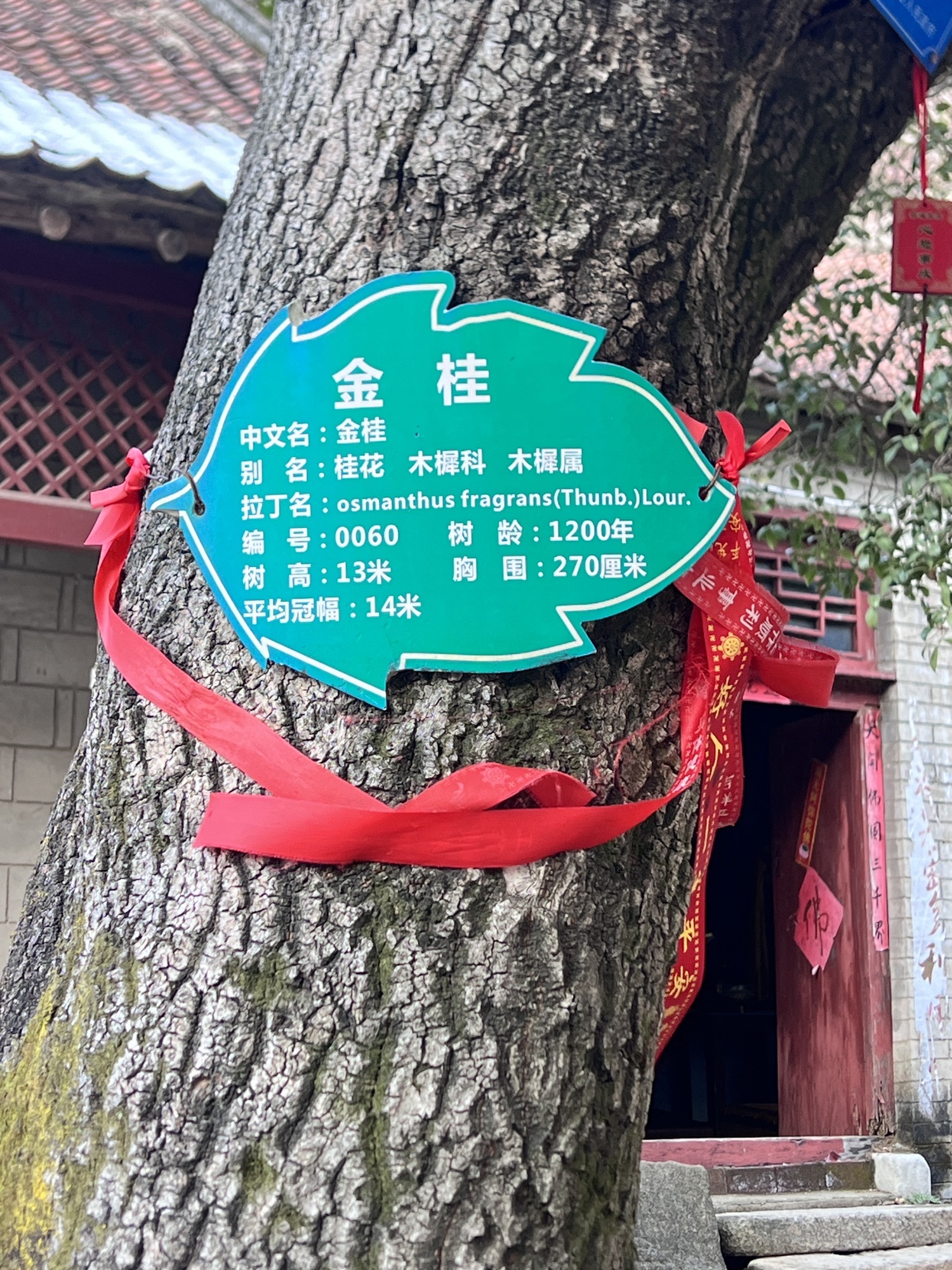 黑明寺旅行图片 3