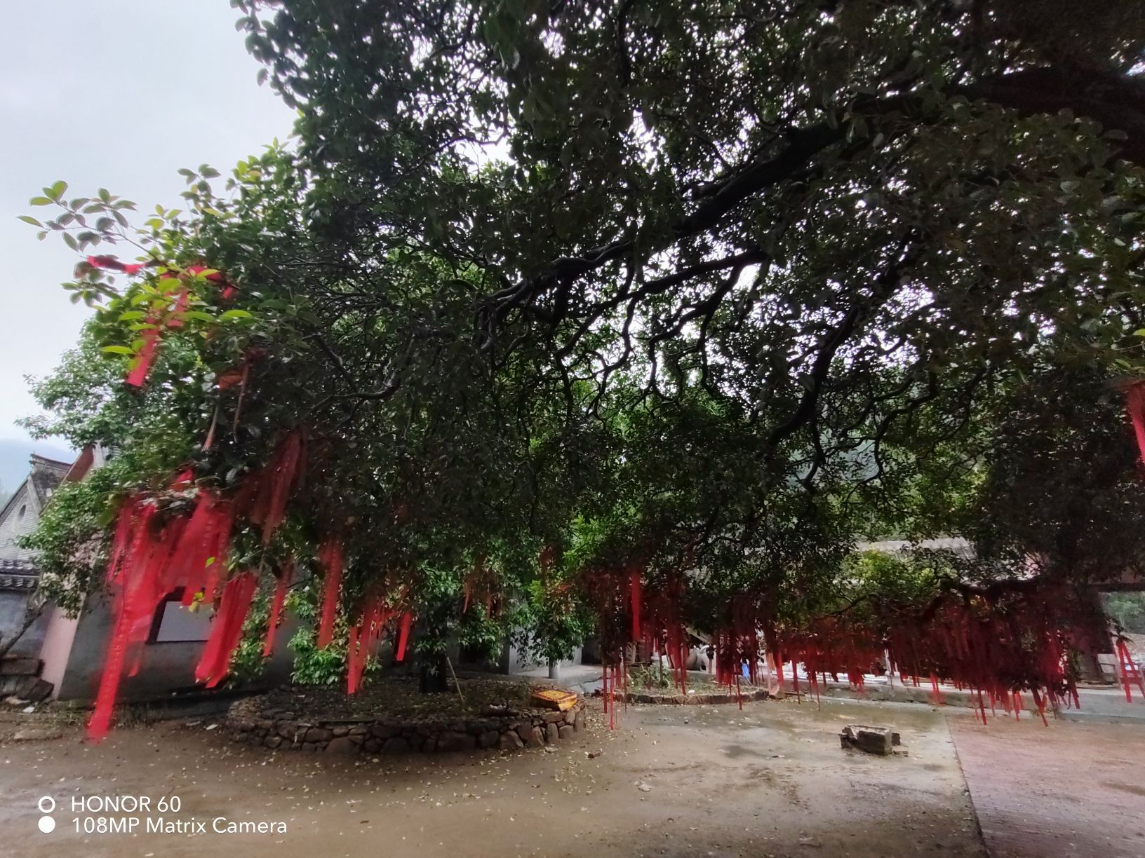 黑明寺旅行图片 2