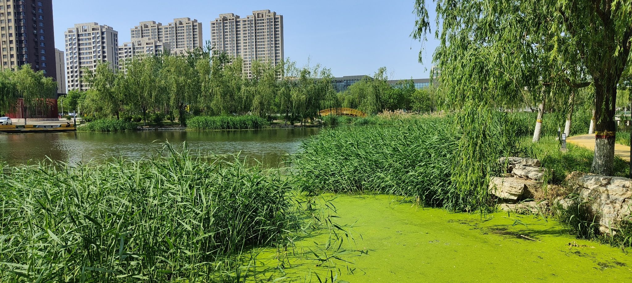 小流津河公园旅行图片 3