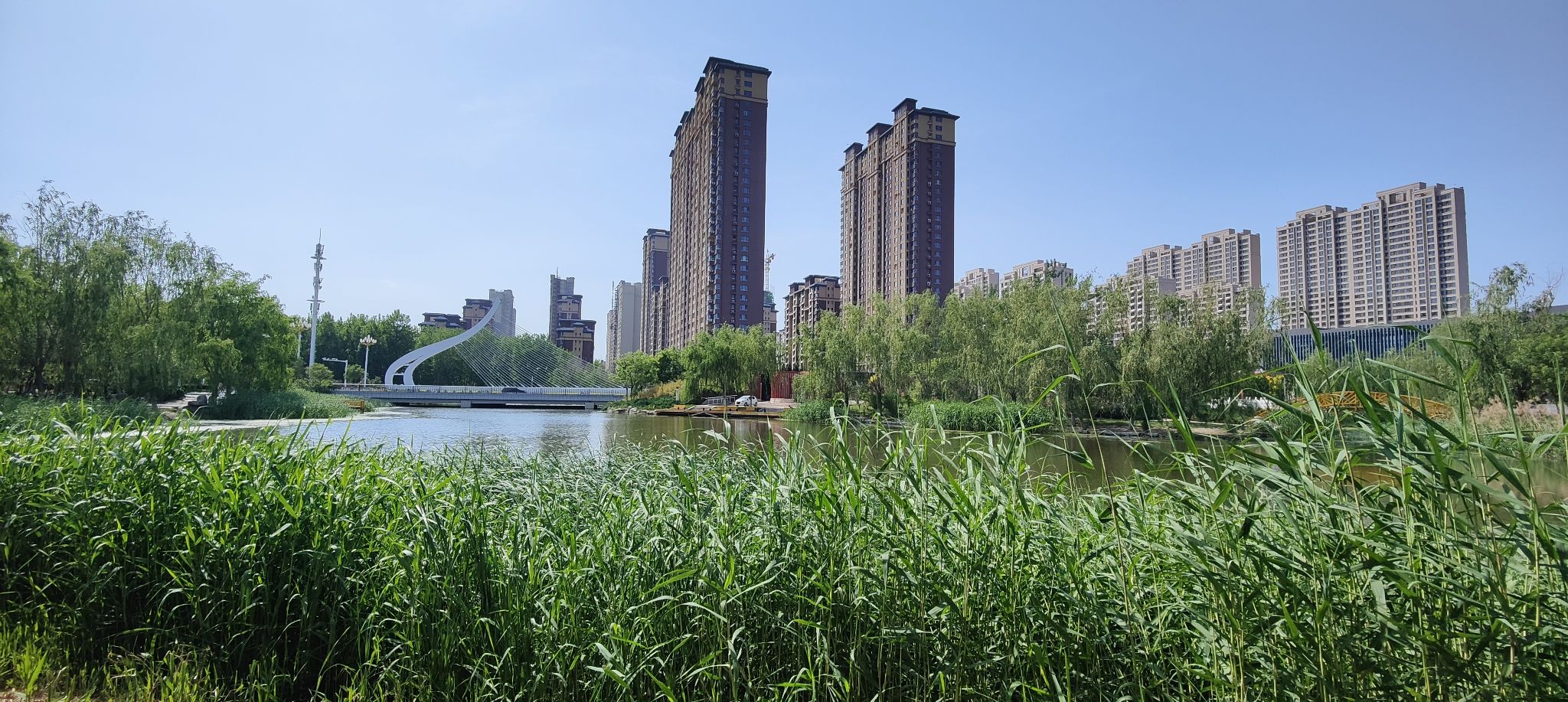 小流津河公园旅行图片 2