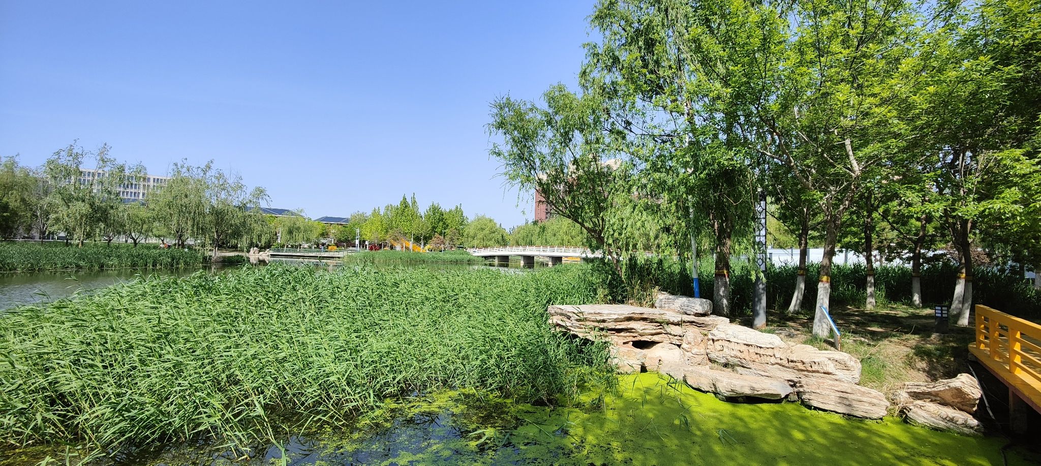 小流津河公园旅行图片 1