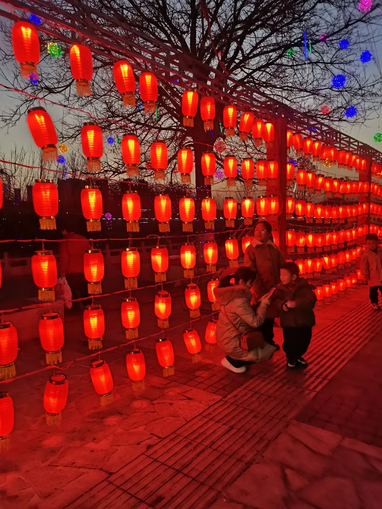 红木文博城旅行图片 3