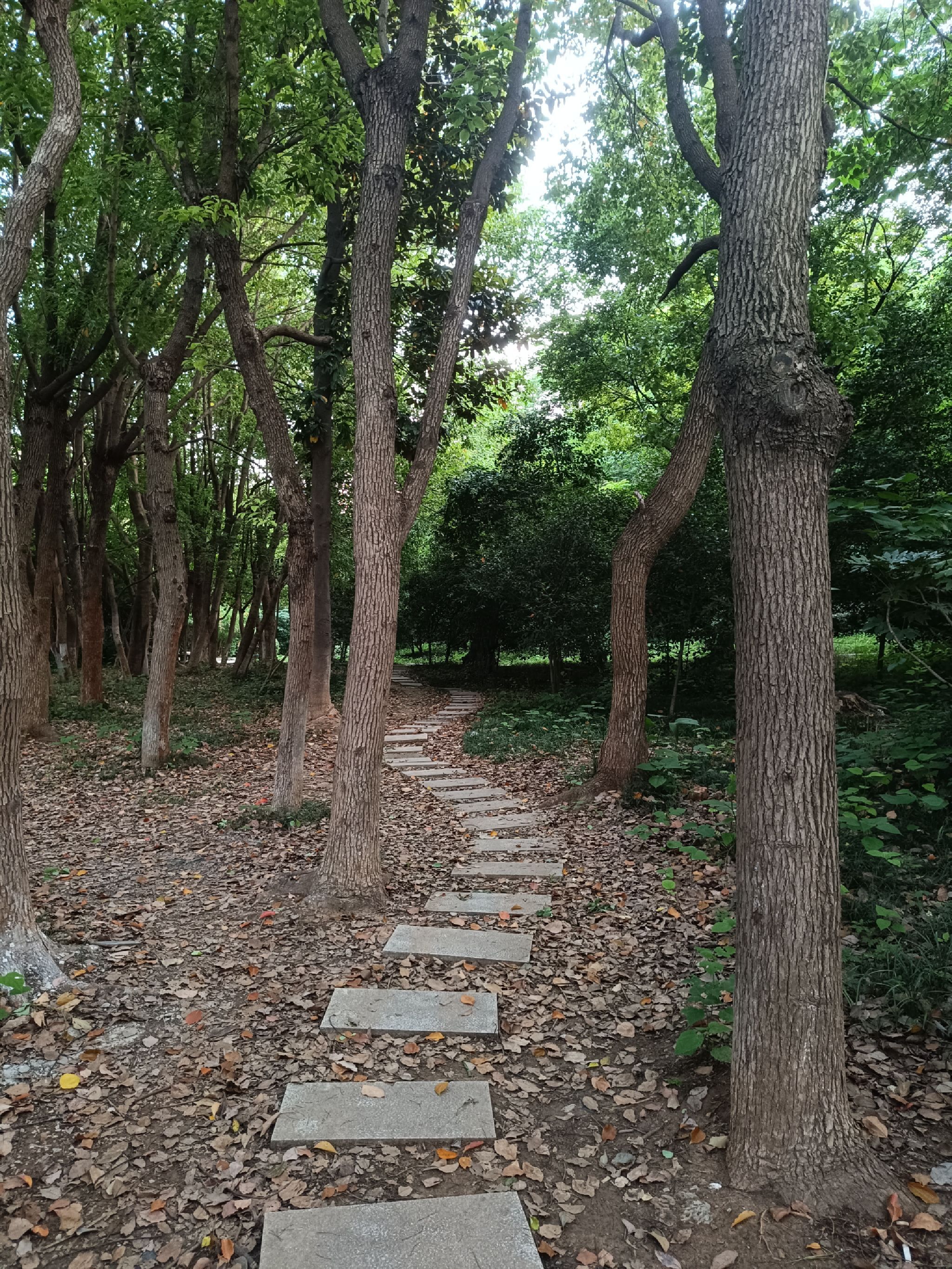言和路健康主题公园旅行图片 1