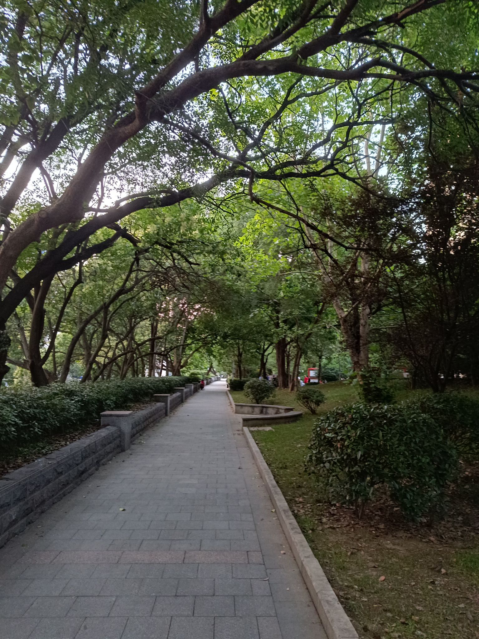言和路健康主题公园旅行图片 2