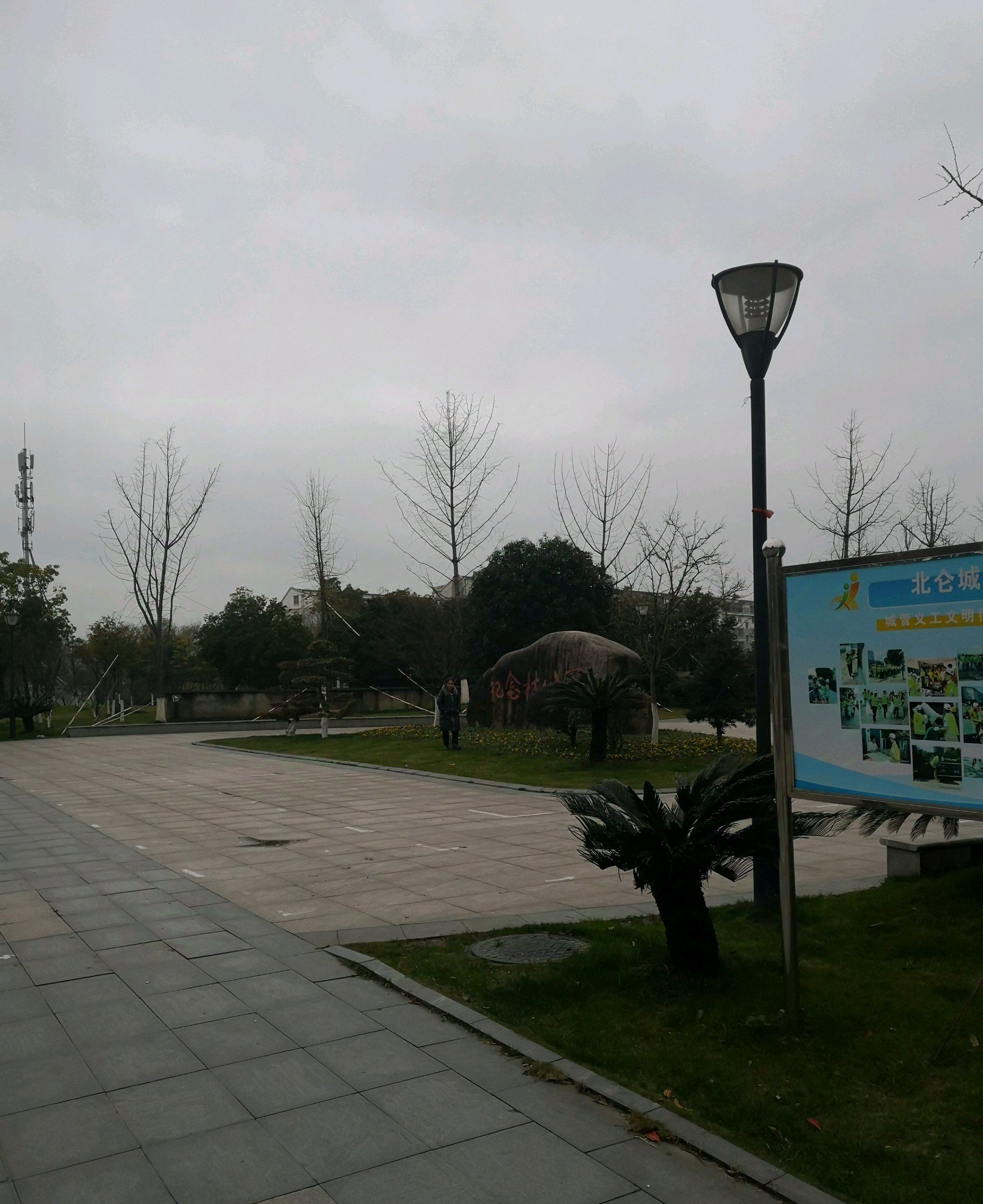 纪念林公园旅行图片 1