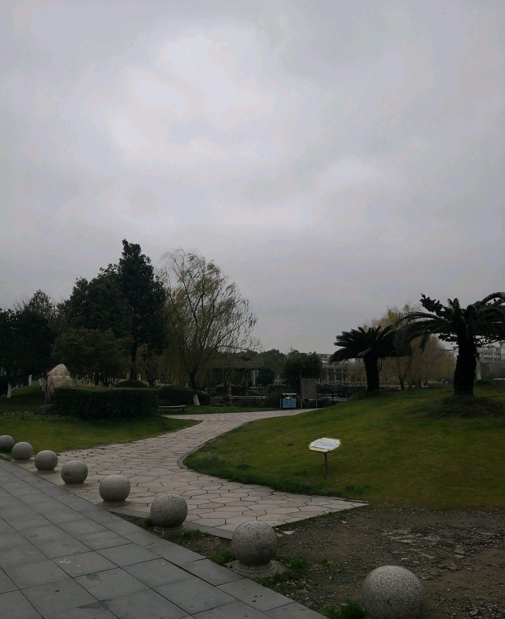 纪念林公园旅行图片 2
