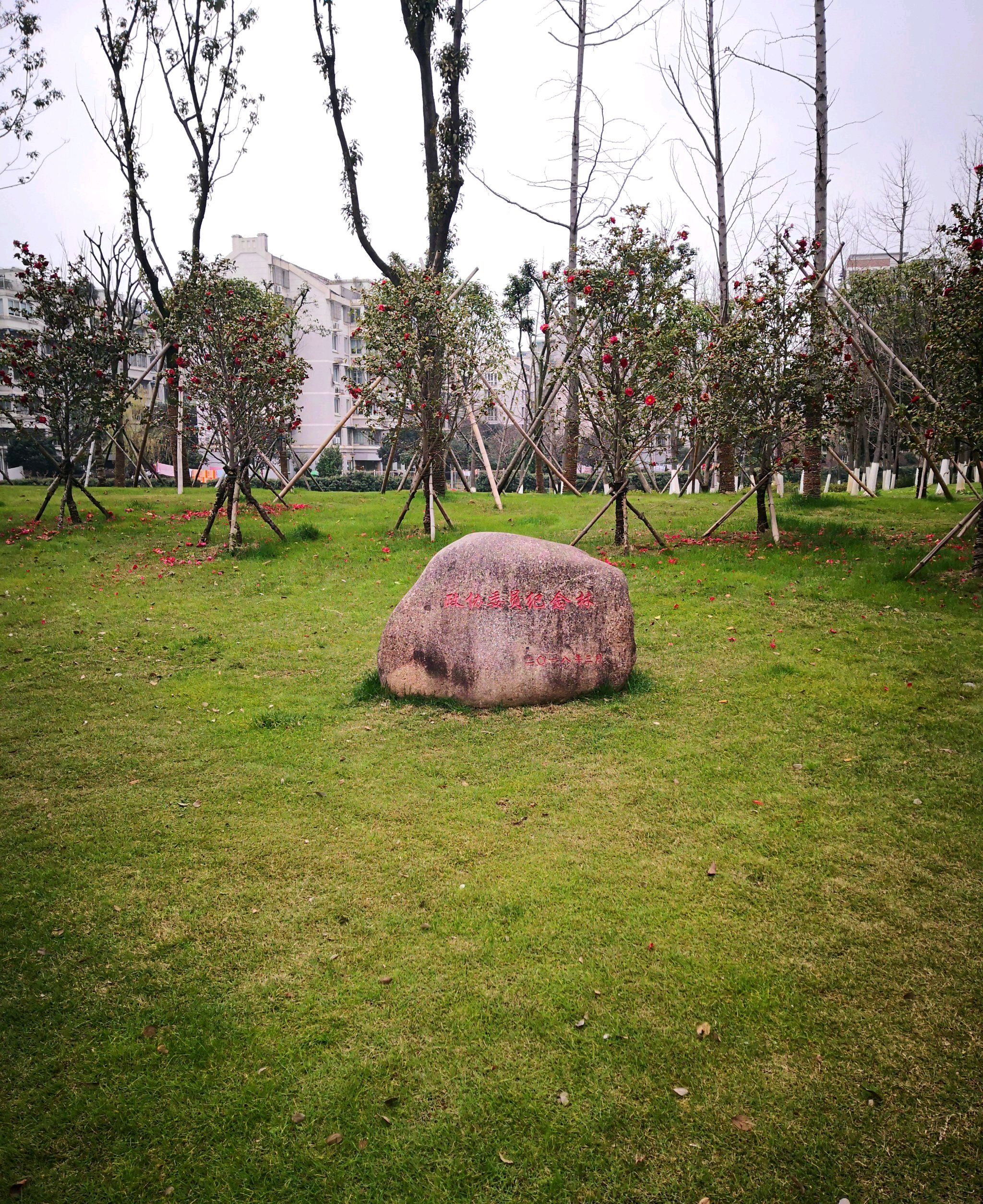 纪念林公园旅行图片 3