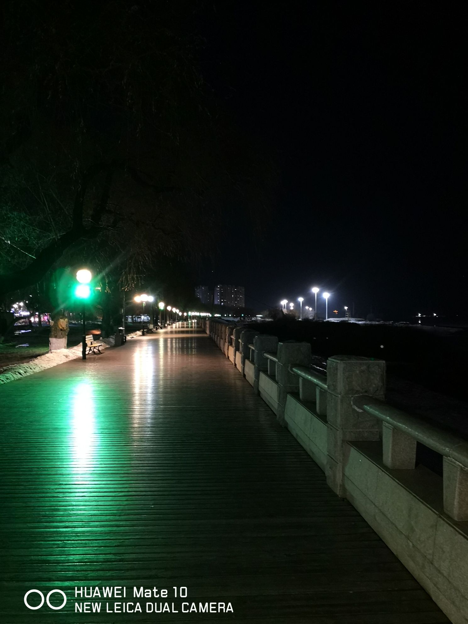 外滩公园旅行图片 3
