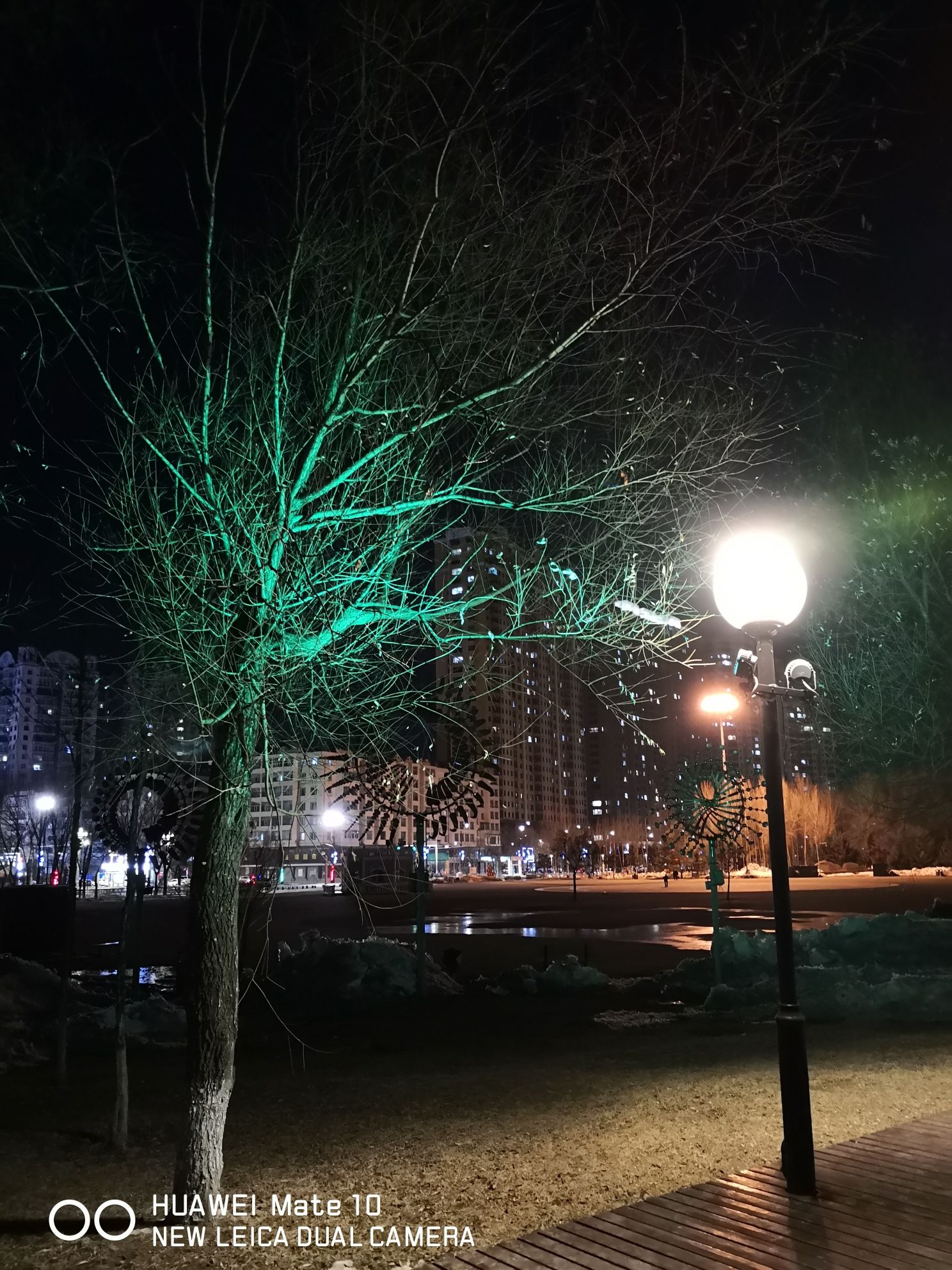 外滩公园旅行图片 1
