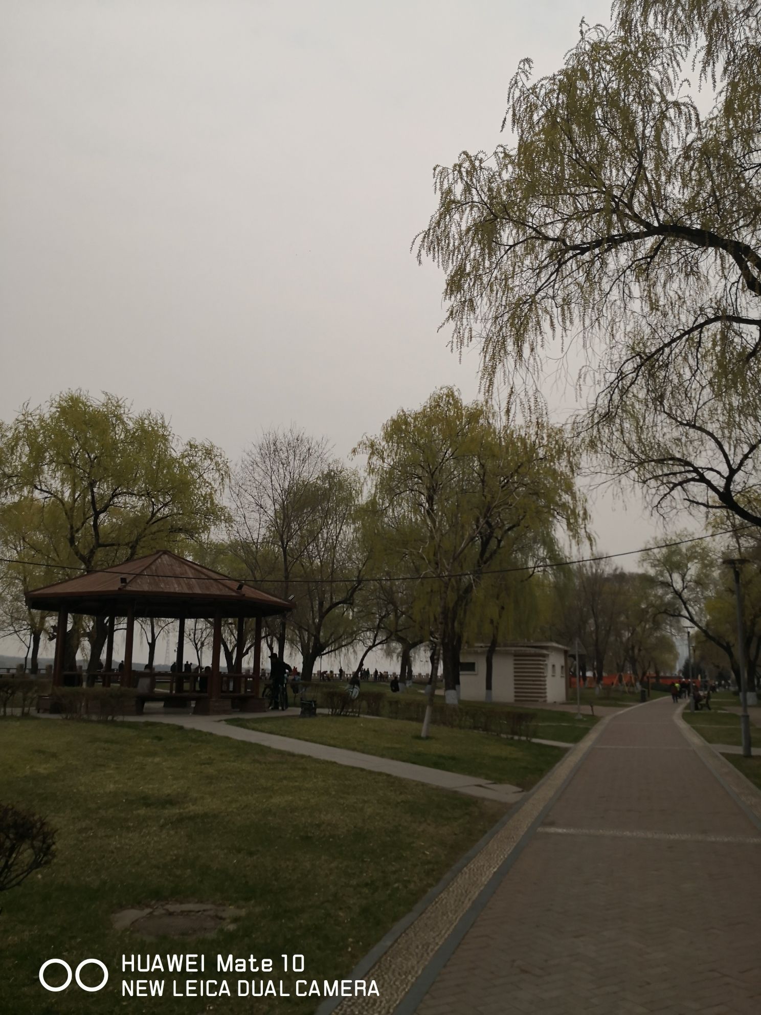 外滩公园旅行图片 2