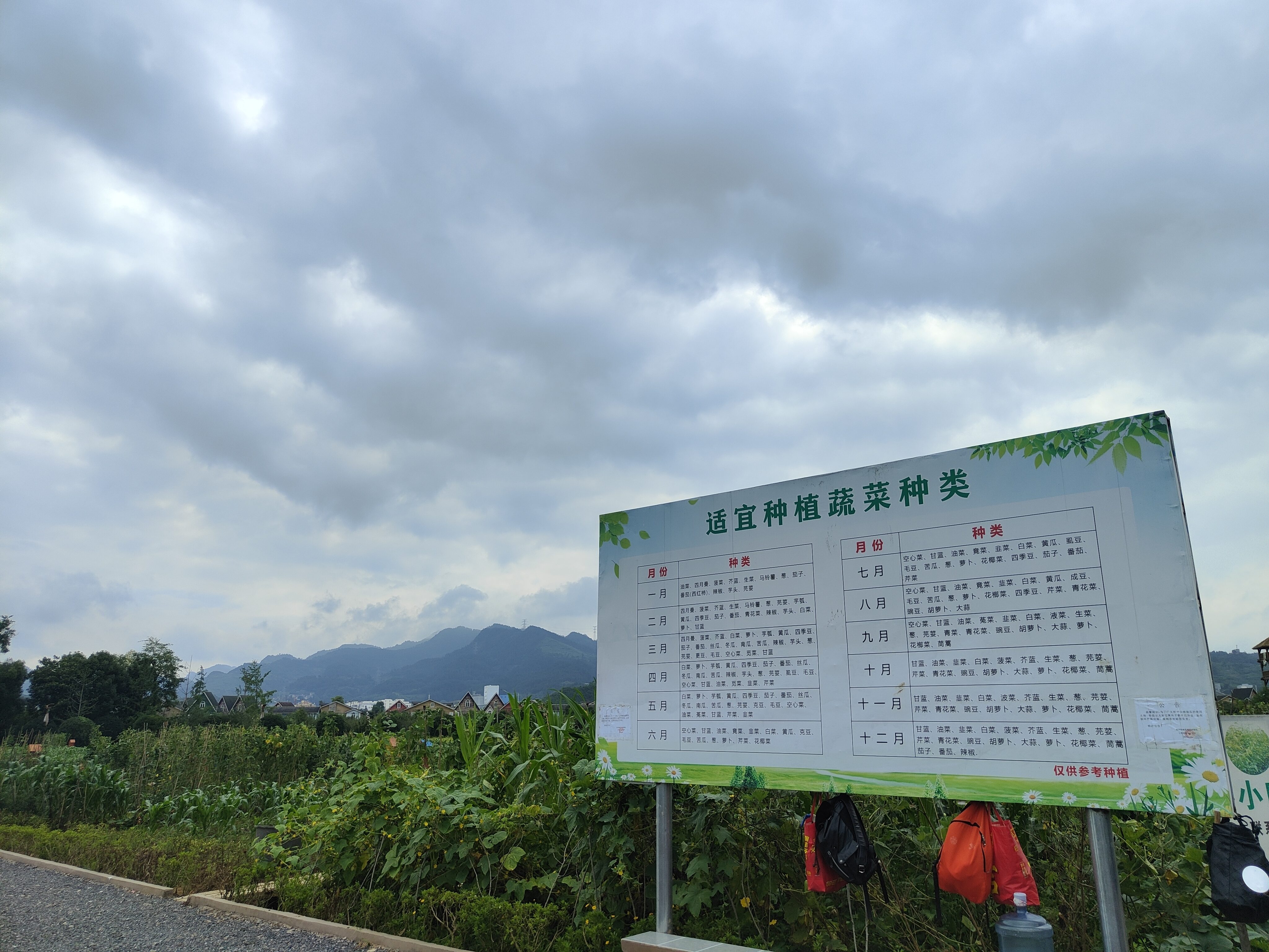 余庆县观光园旅行图片 3