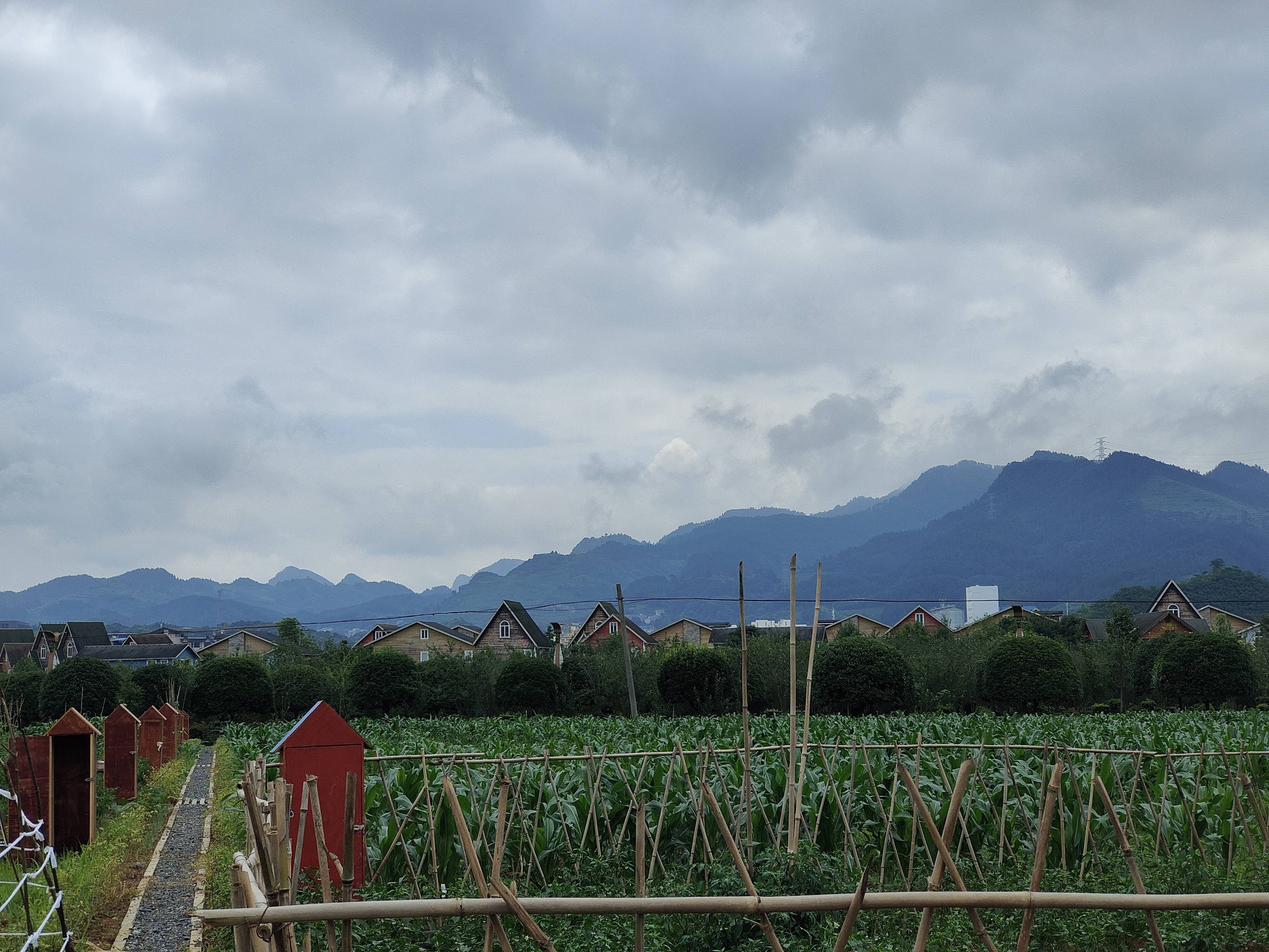余庆县观光园旅行图片 2