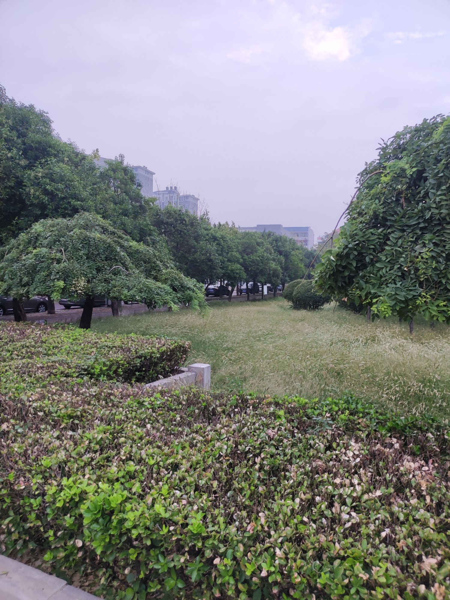 舞雩台广场旅行图片 1