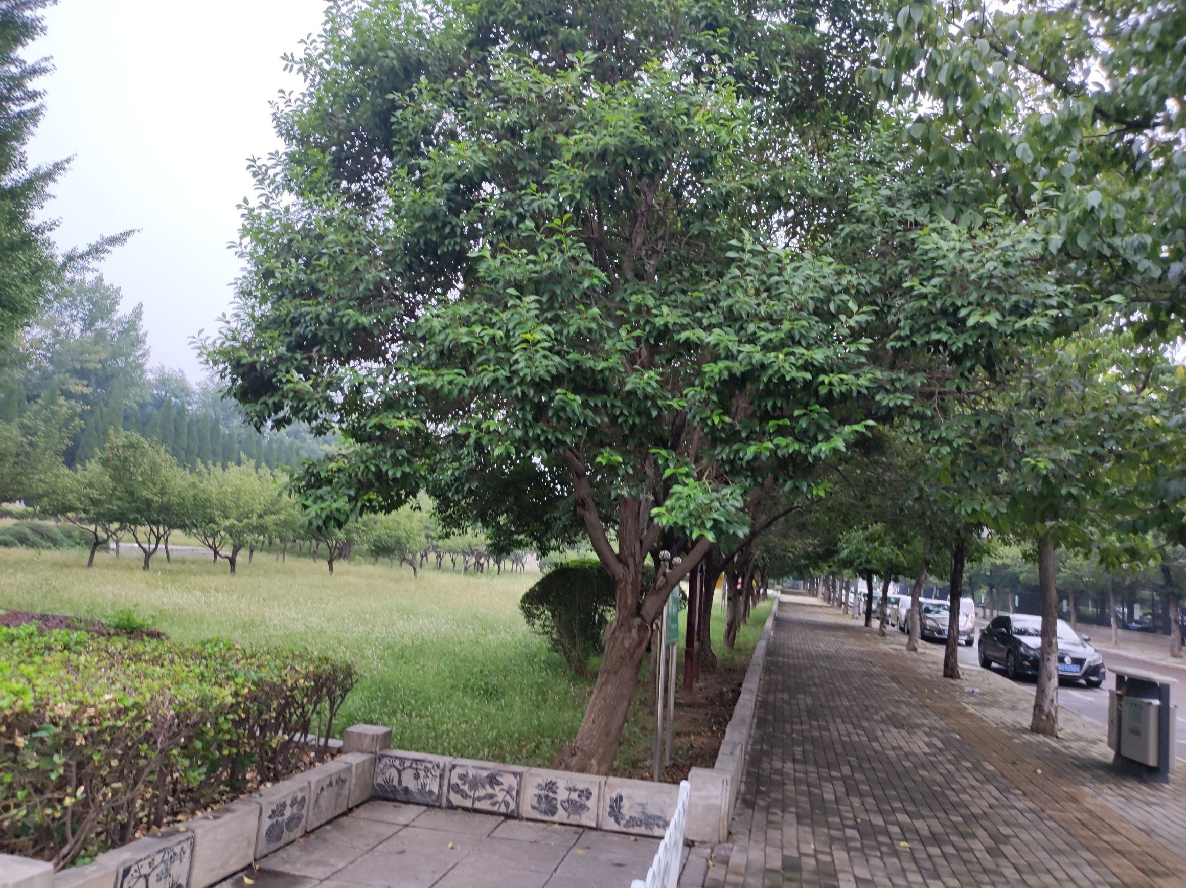 舞雩台广场旅行图片 3