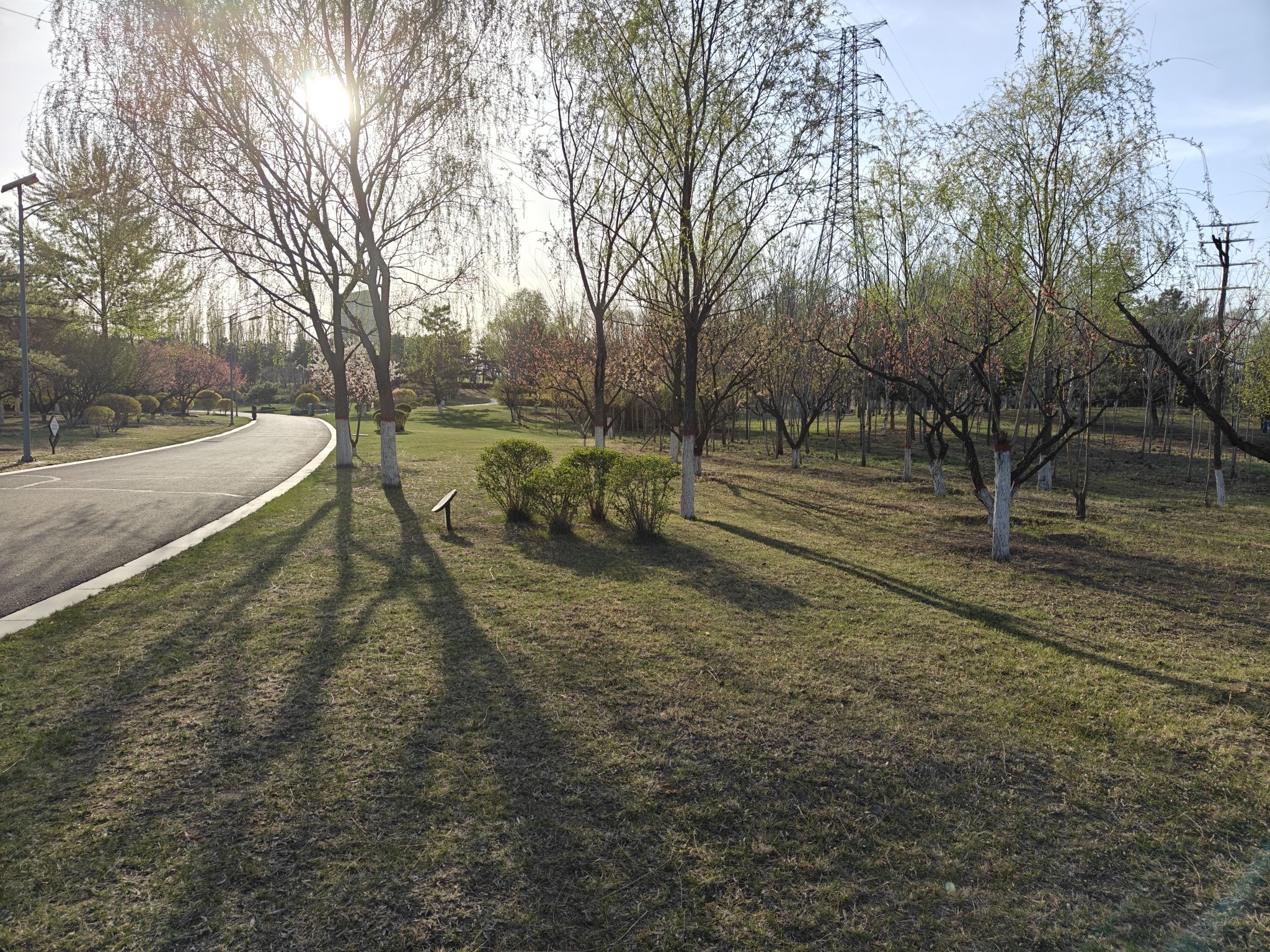 十里河森林公园旅行图片 3