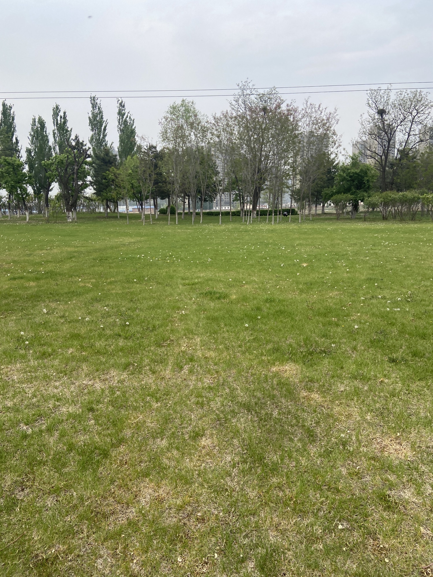 十里河森林公园旅行图片 1