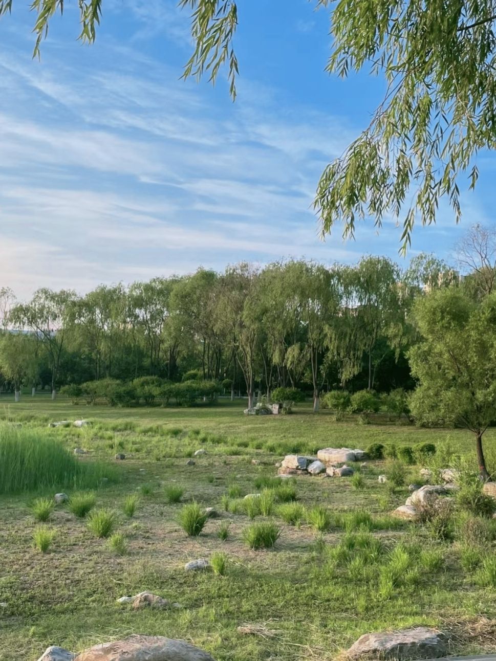 十里河森林公园旅行图片 2