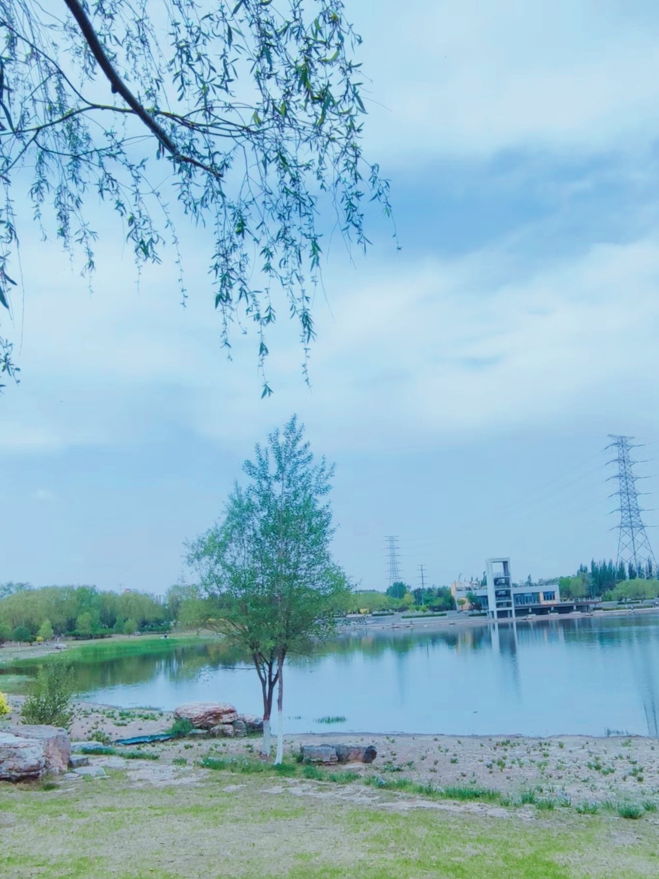 十里河森林公园旅行图片 3