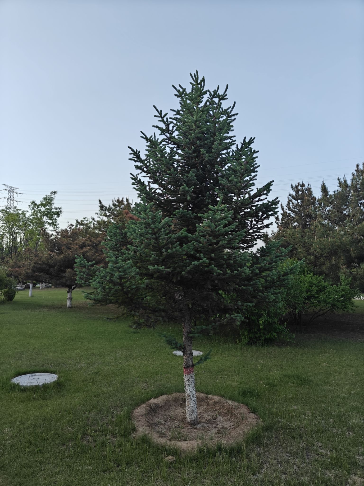 十里河森林公园旅行图片 2