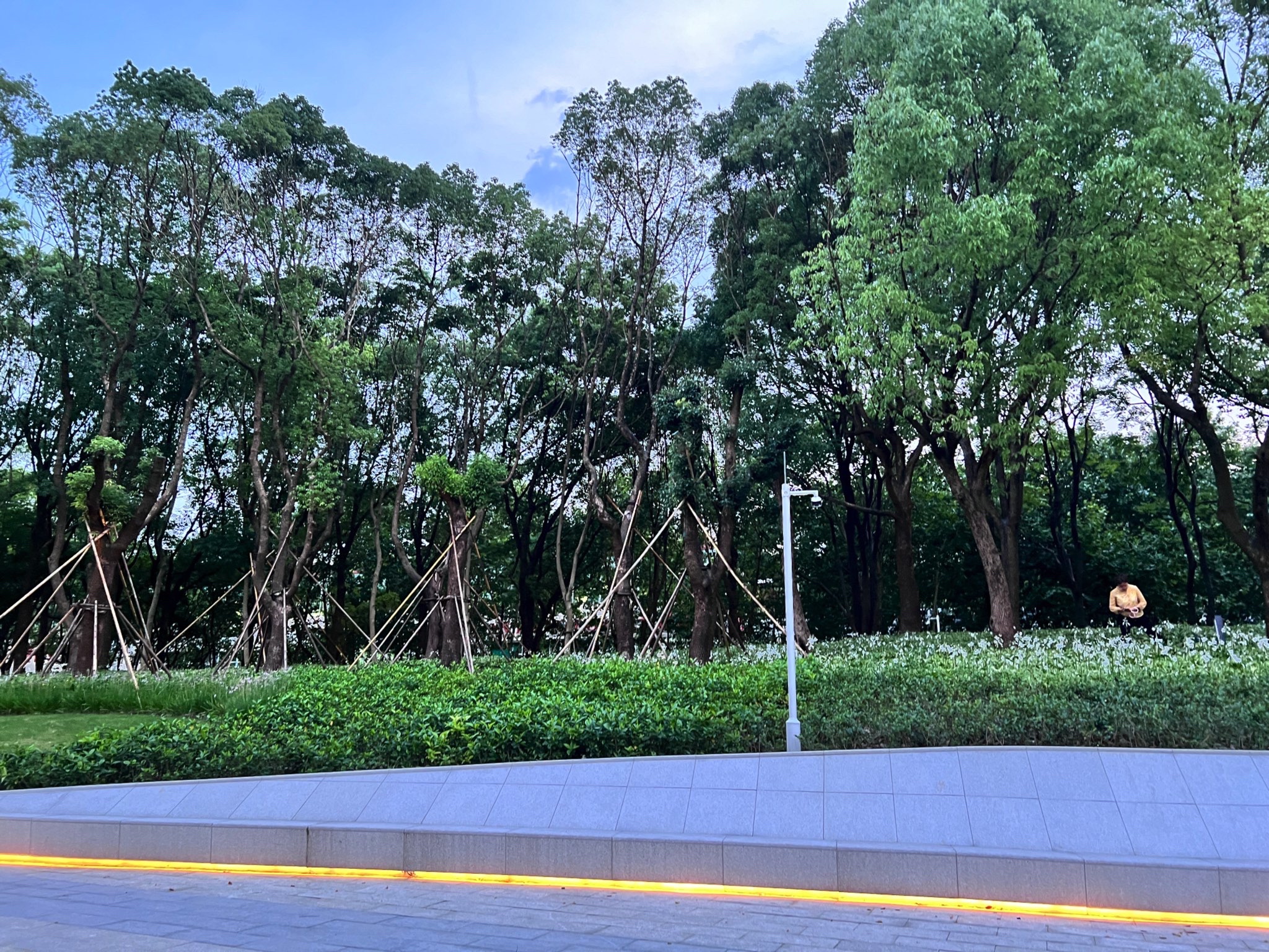海粟绿地旅行图片 1