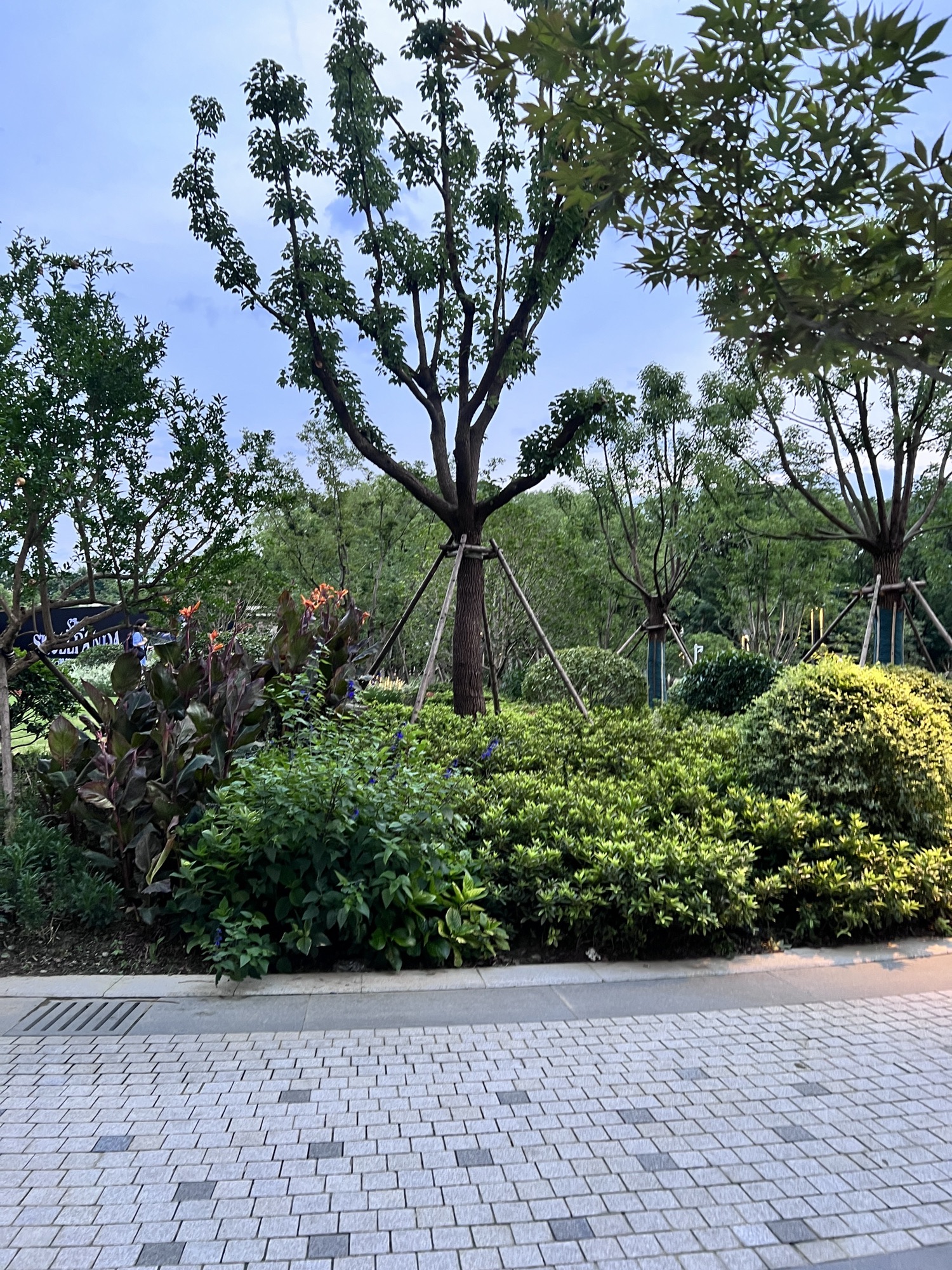 海粟绿地旅行图片 2