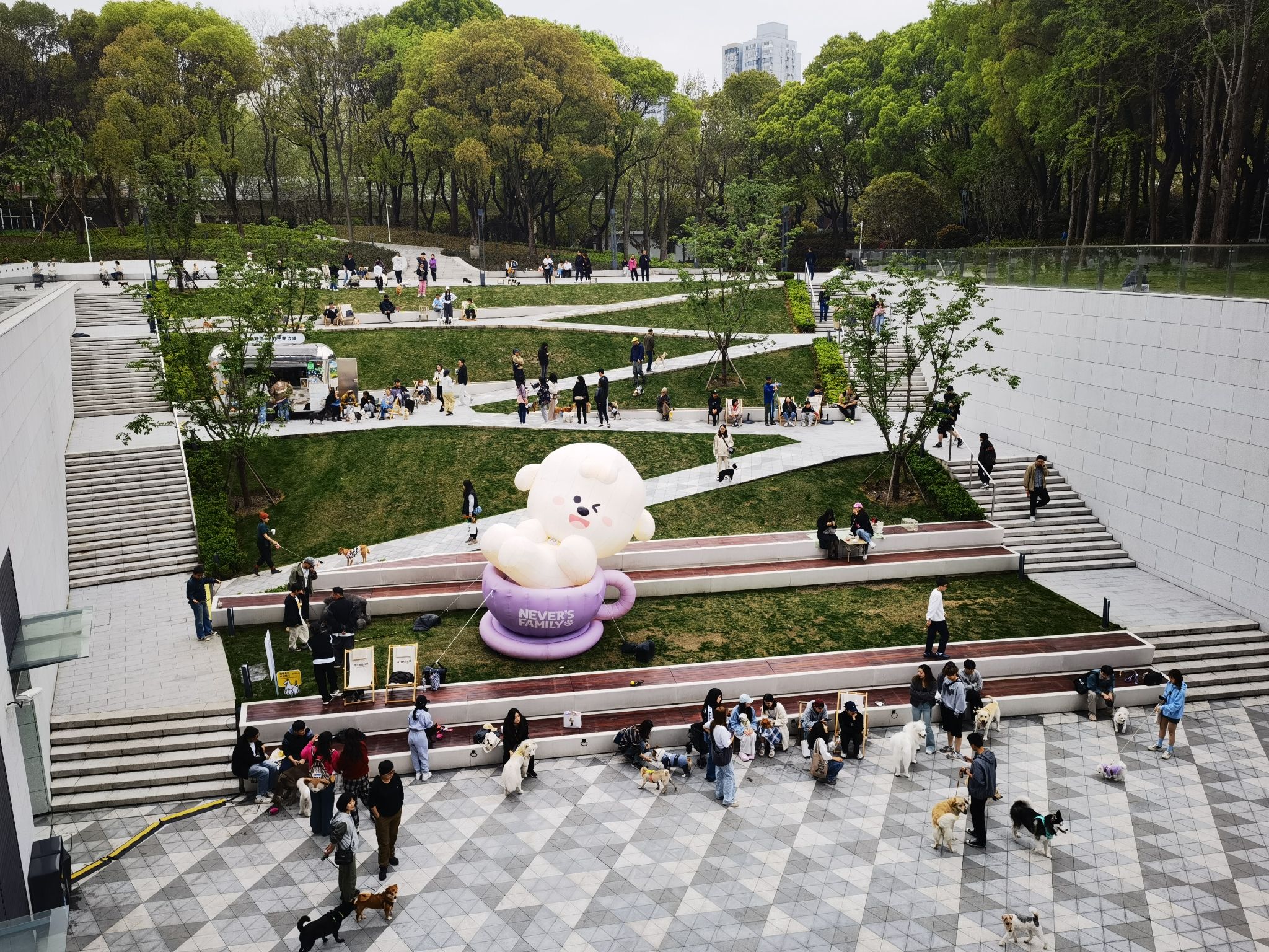 海粟绿地旅行图片 3