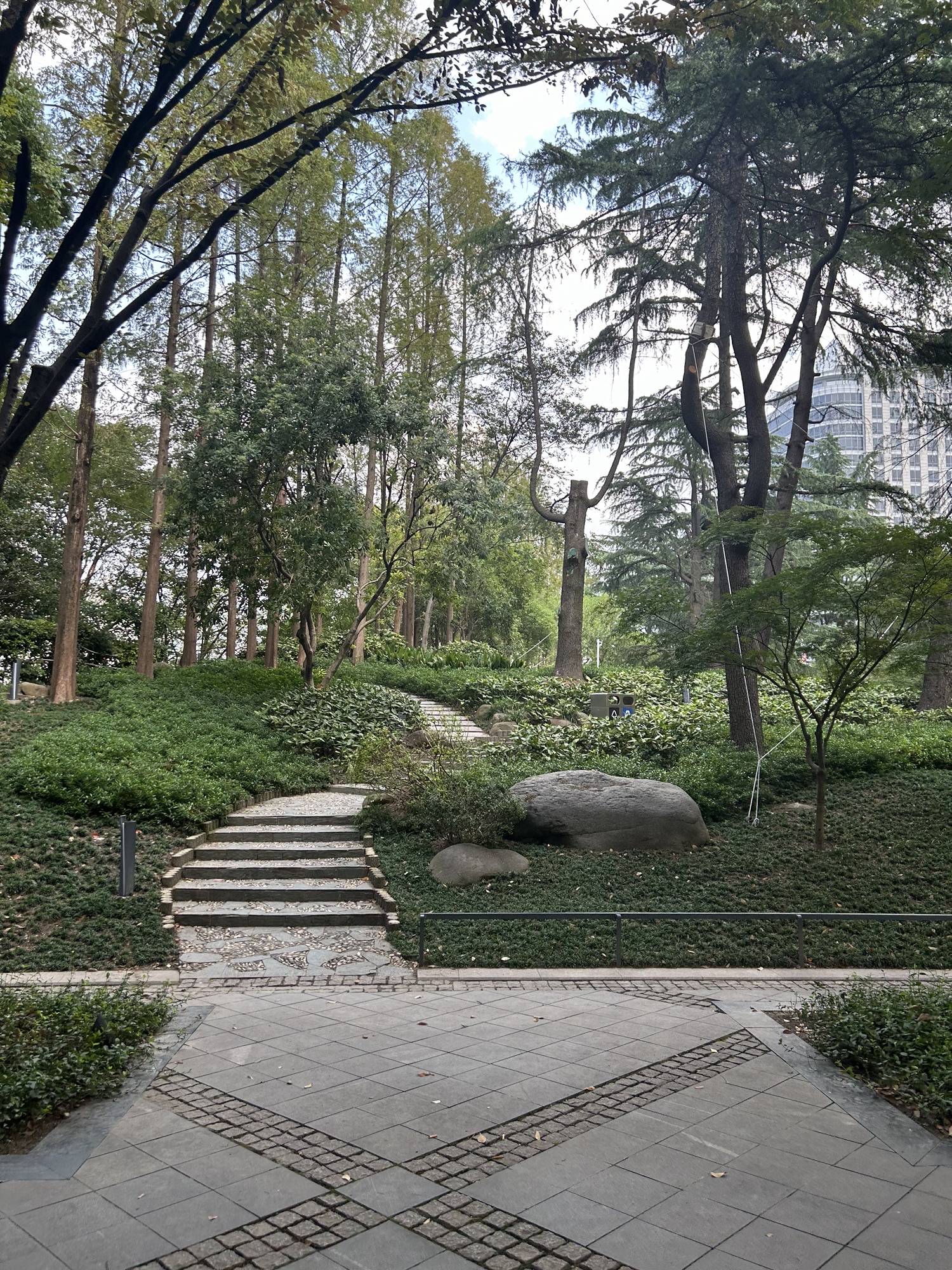 海粟绿地旅行图片 3