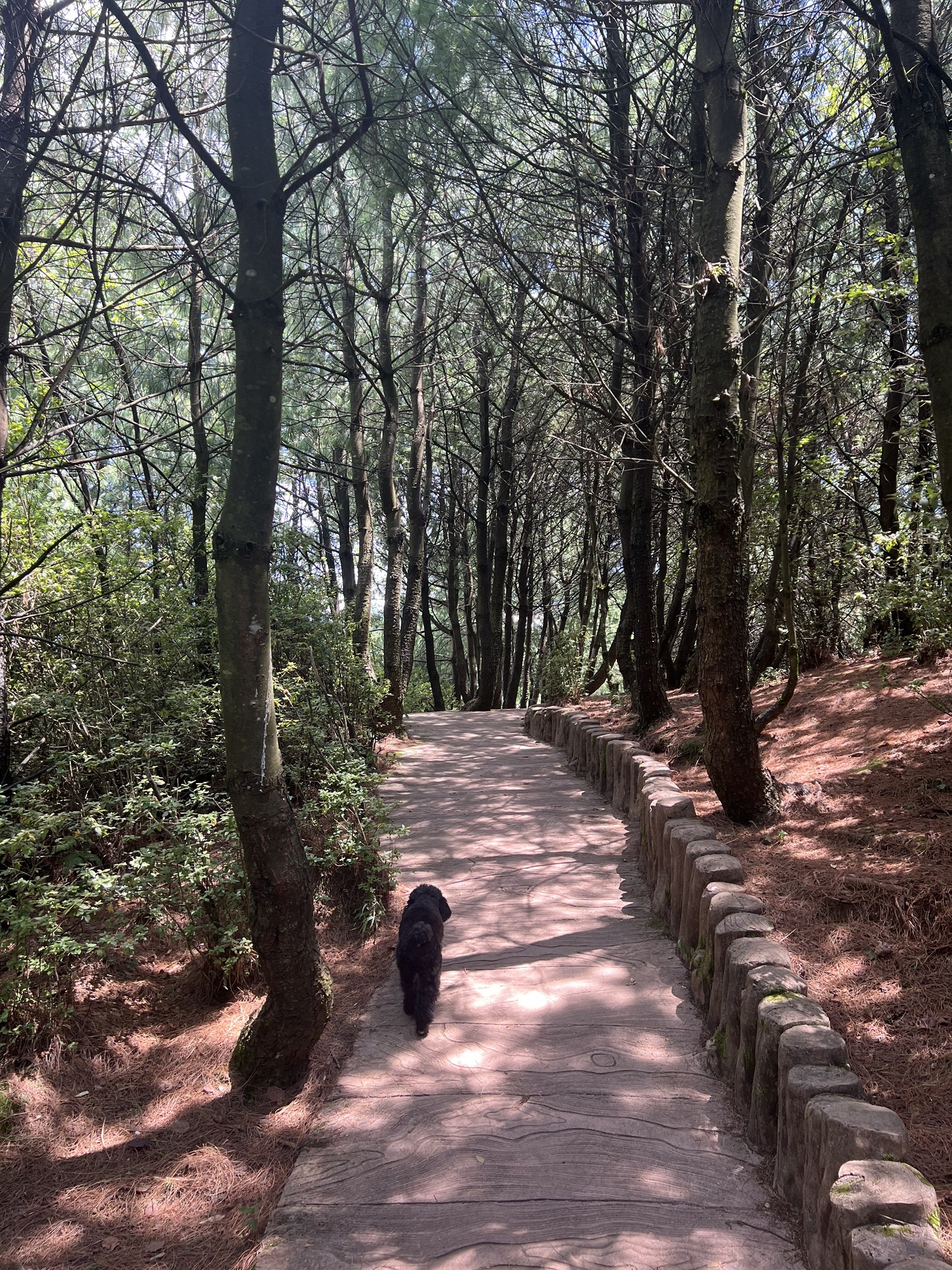 盘州市娘娘山旅游景区旅行图片 2
