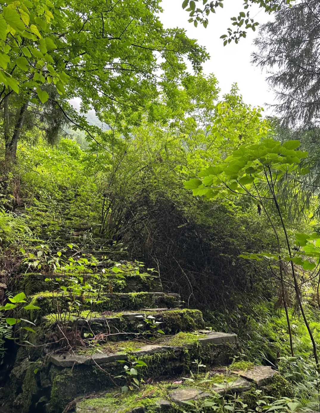 盘州市娘娘山旅游景区旅行图片 1
